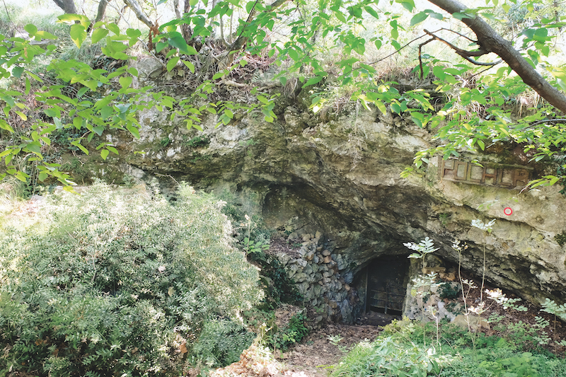 L’altopiano del Carso triestino e la Val Rosandra - immagine 3