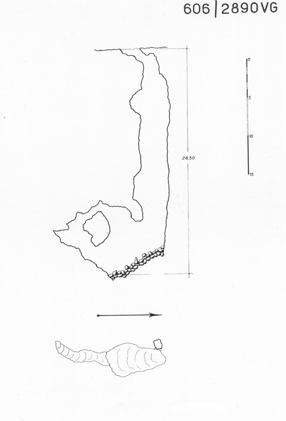 Grotta 2° presso la Stazione ferroviaria di Opicina Campagna