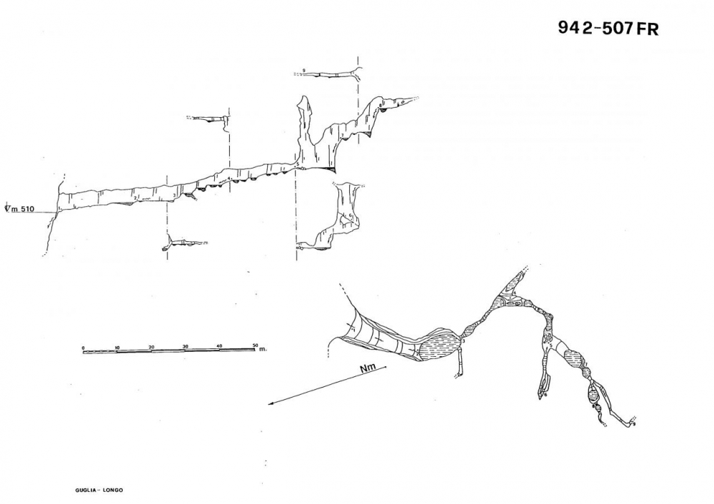 Risorgiva 1 presso Mineres