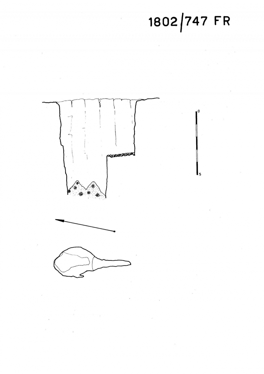 Pozzo 20° a N del Pic di Carnizza