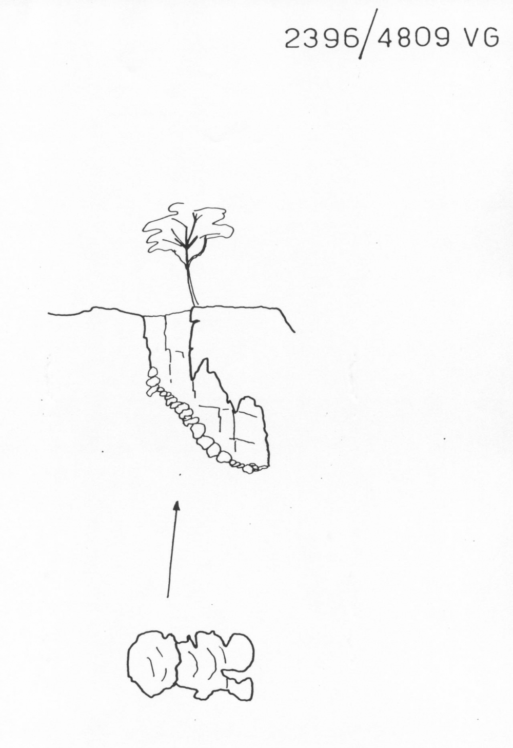 Baratrino presso la Vecchia Lapide