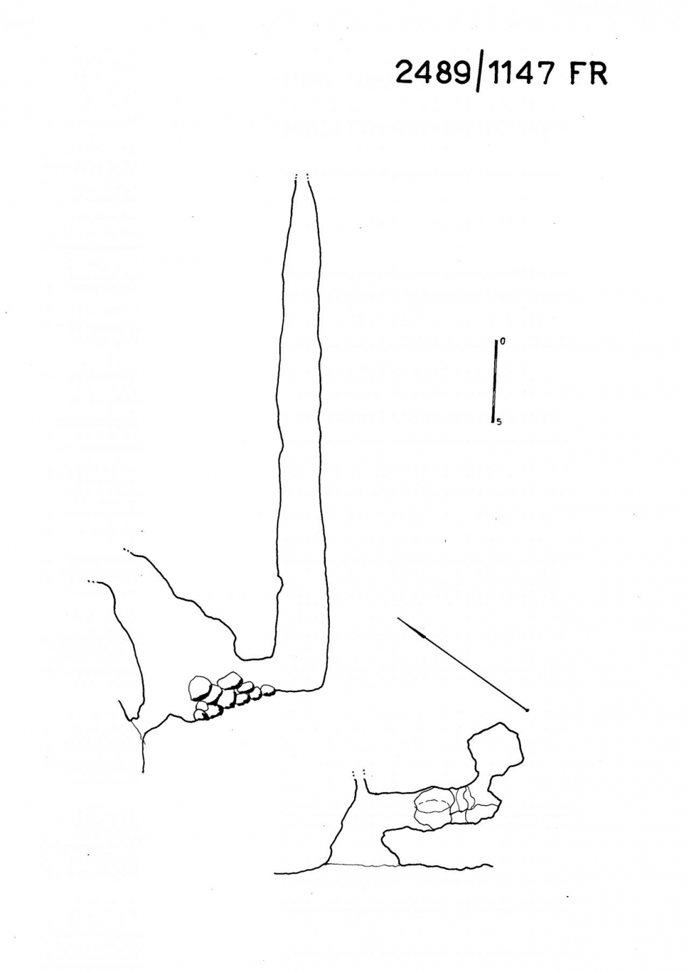 Grotta 1° sulla parete del Monte Robon