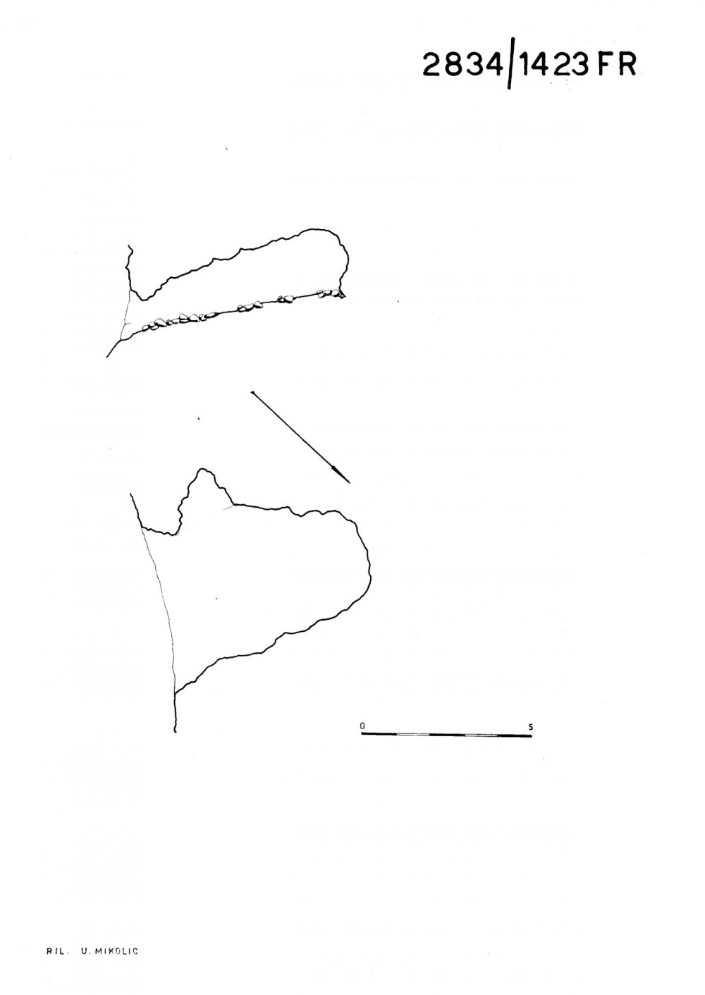 Caverna 2° presso la Via Alta