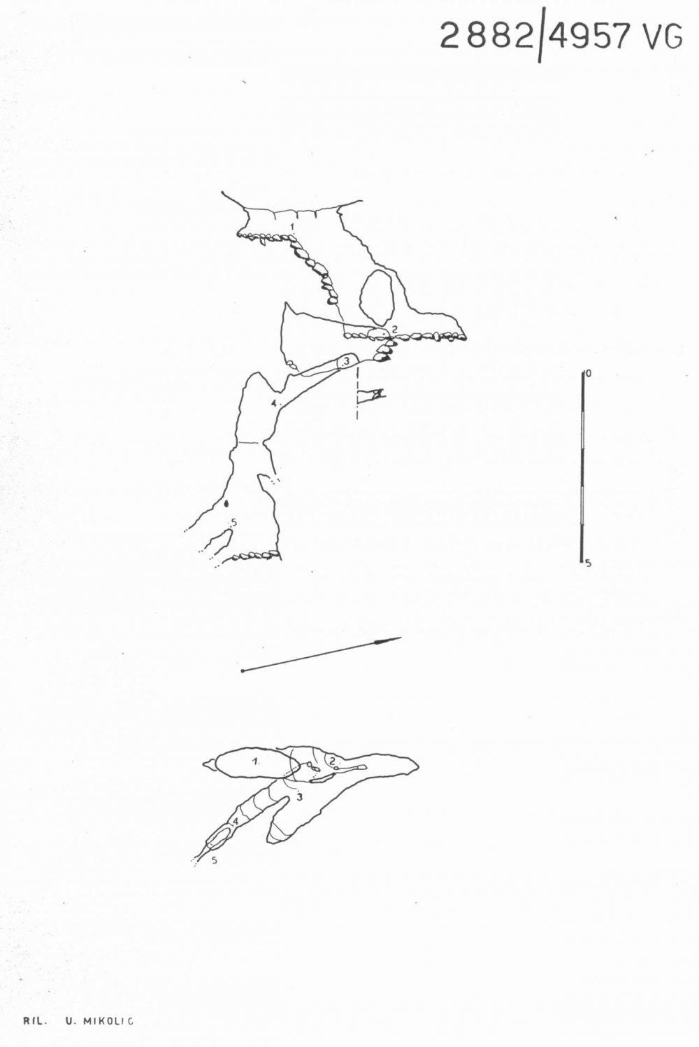 Grotta presso Opicina Campagna