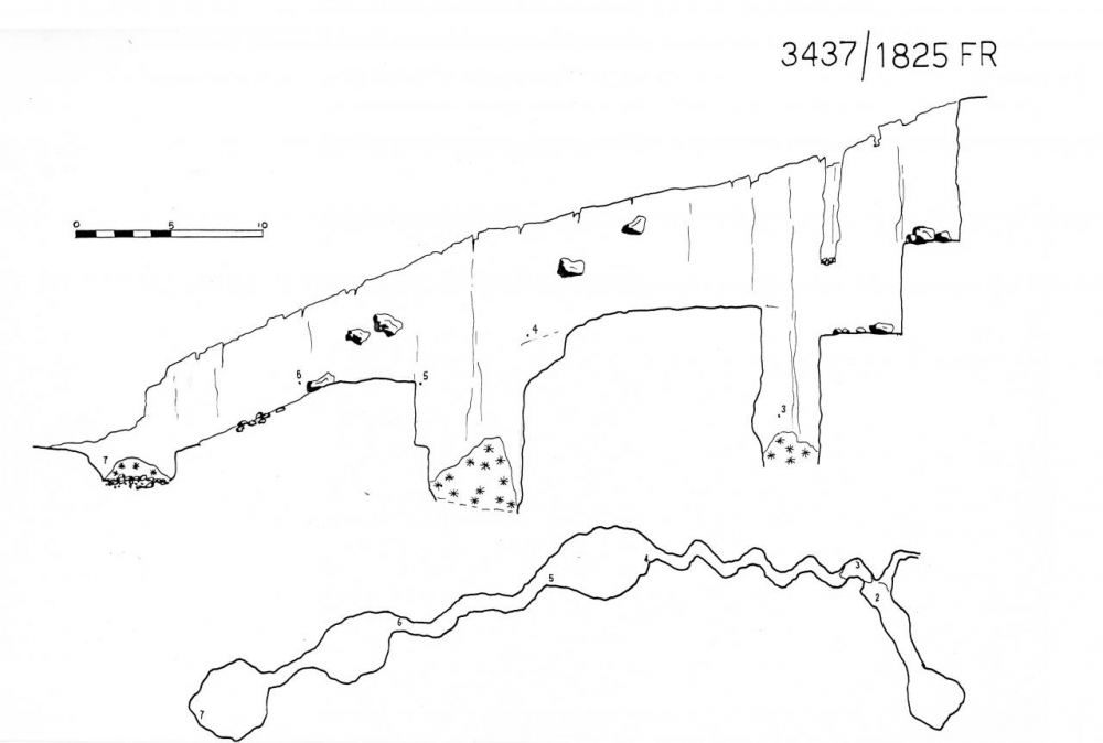 Meandro a N di quota 2009