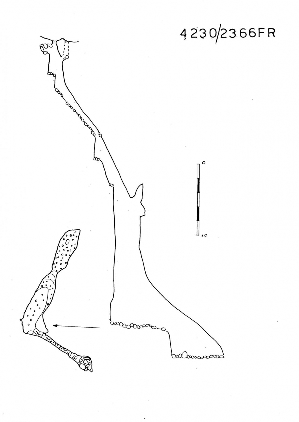 Pozzo sul versante N del Monte Zermula