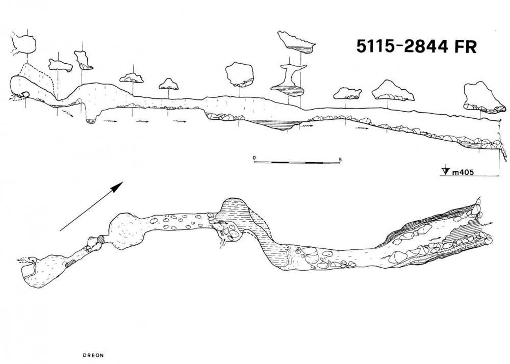 Bus dali Piscianguli