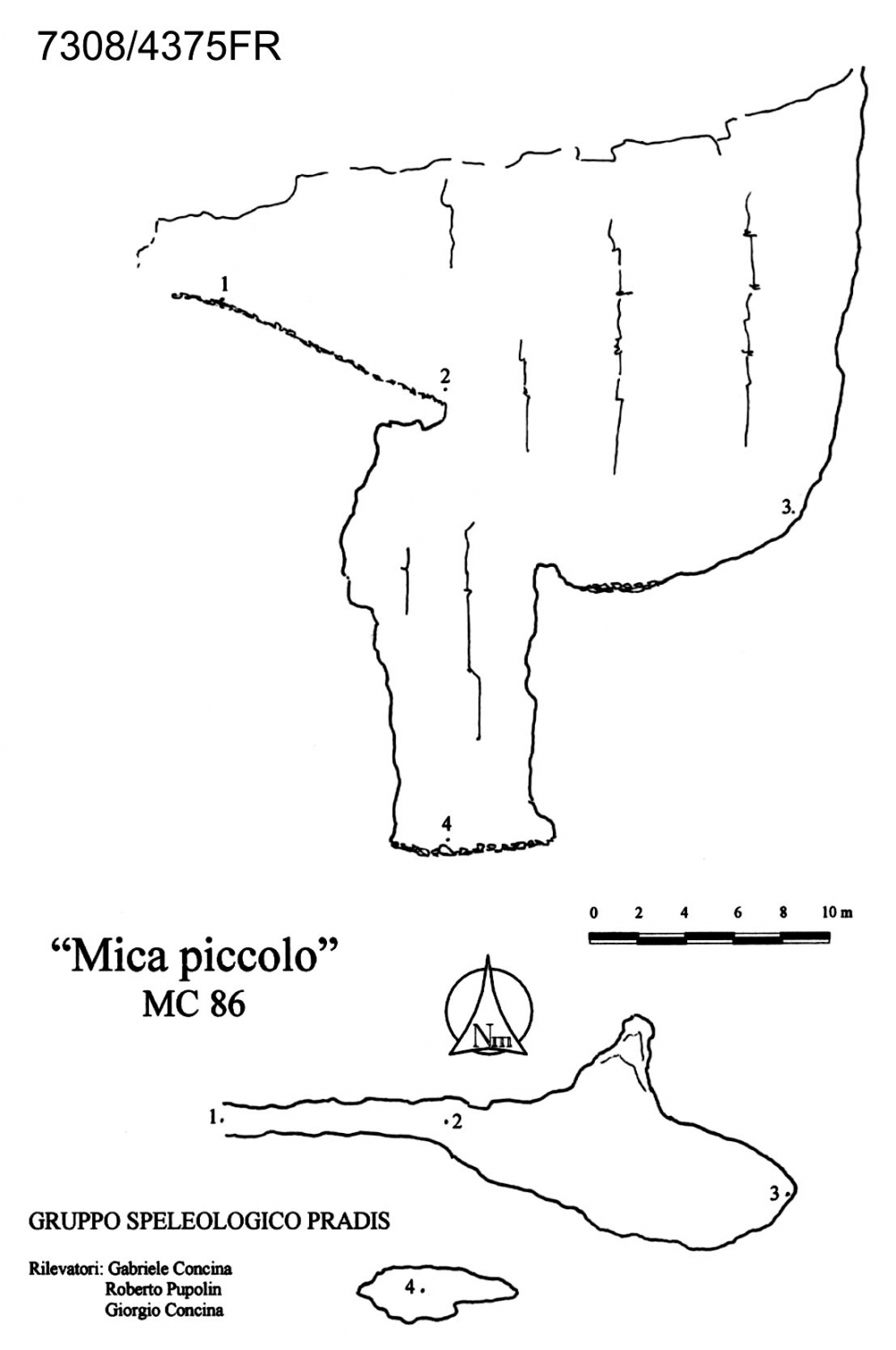 Mica piccolo