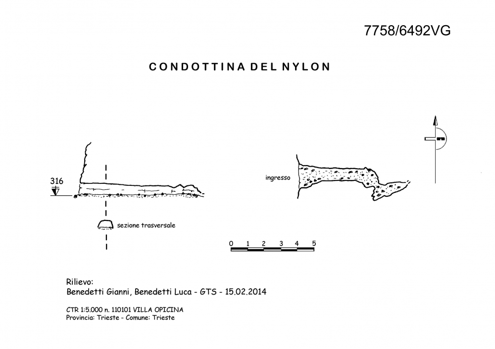 Condottina del nylon