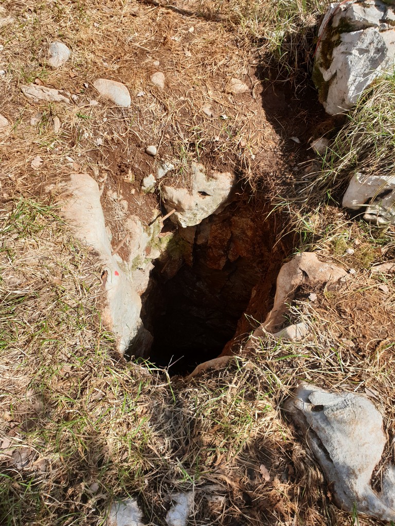 descrizione immagine