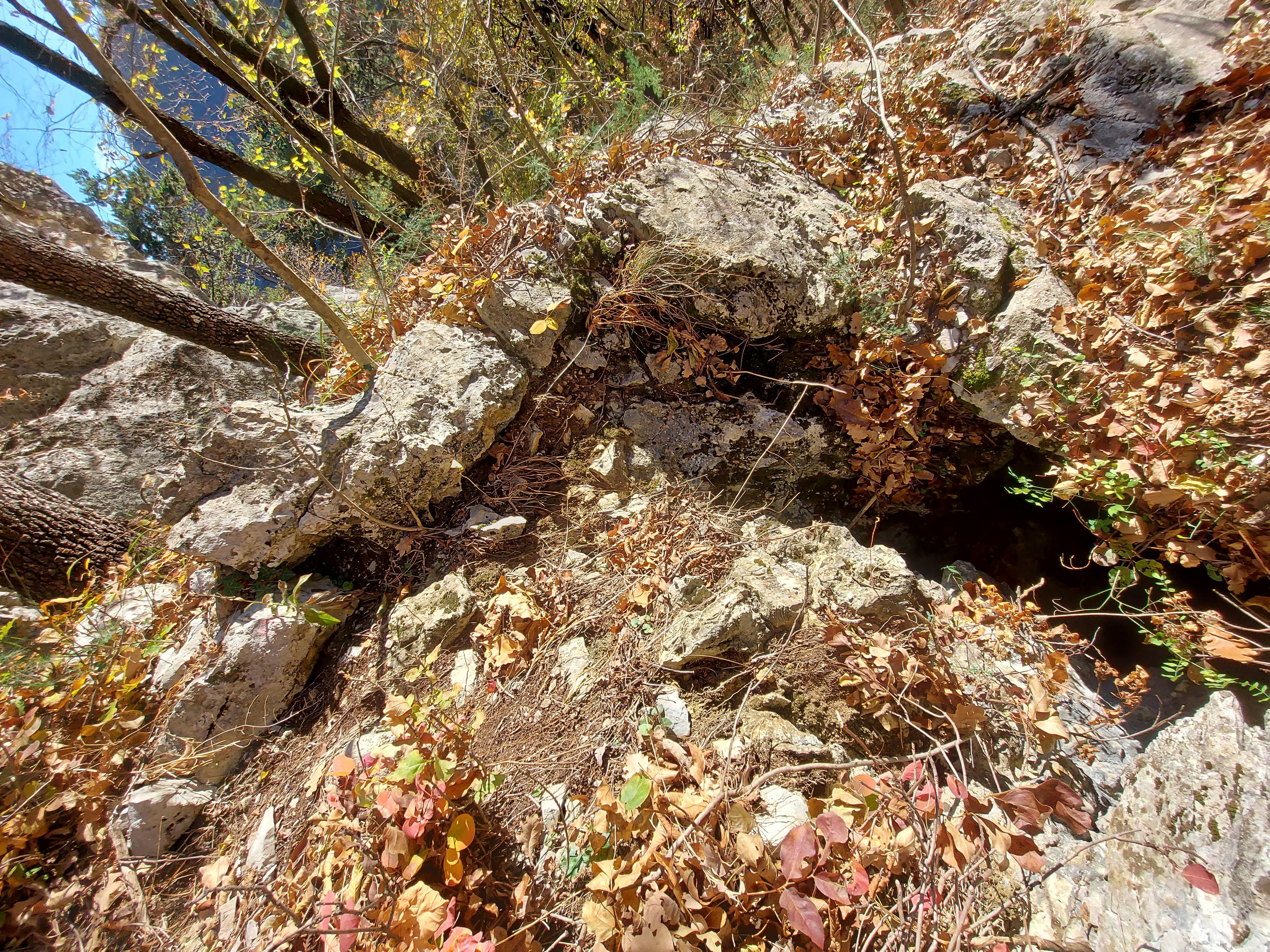 descrizione immagine