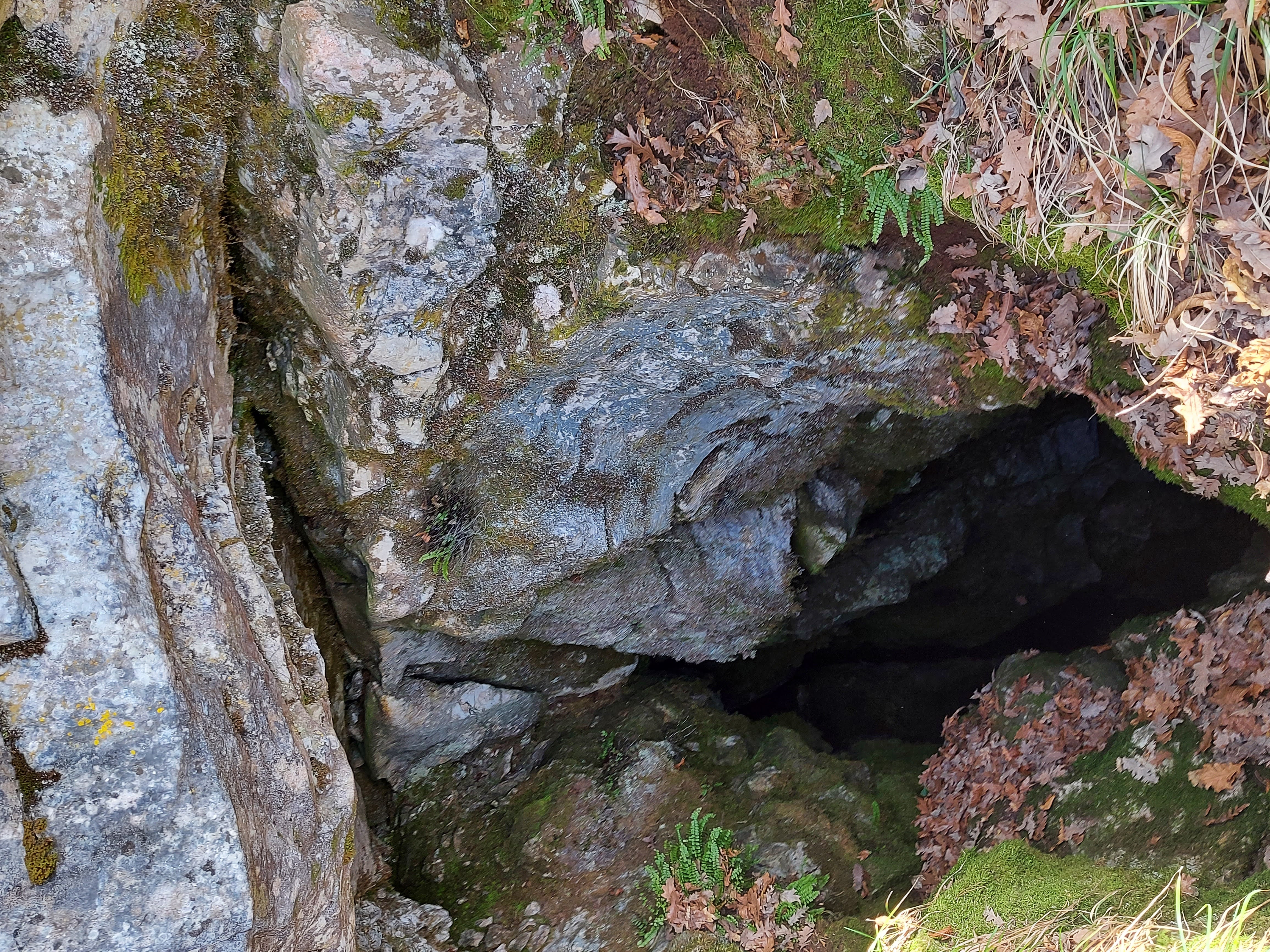 descrizione immagine