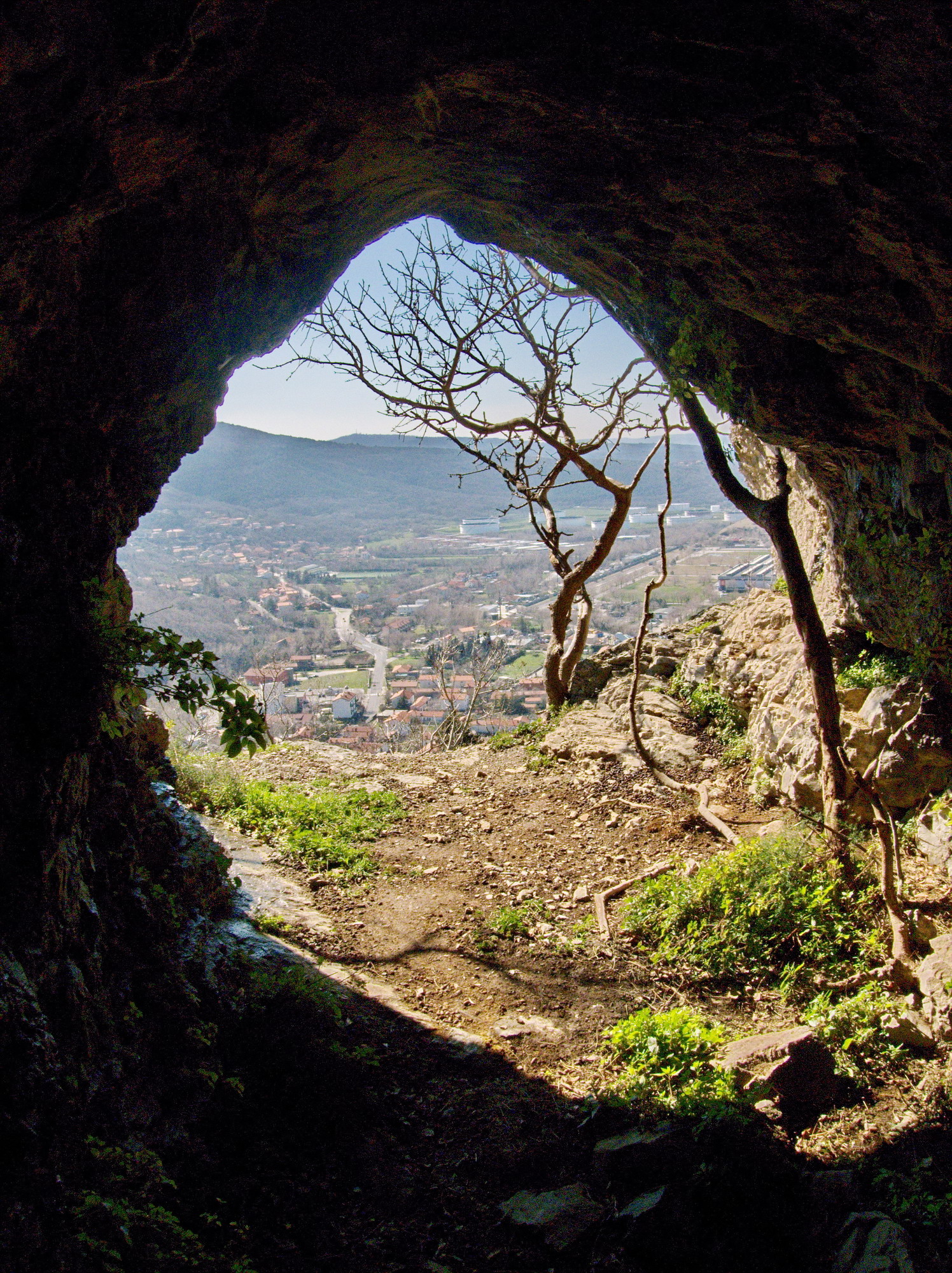 descrizione immagine