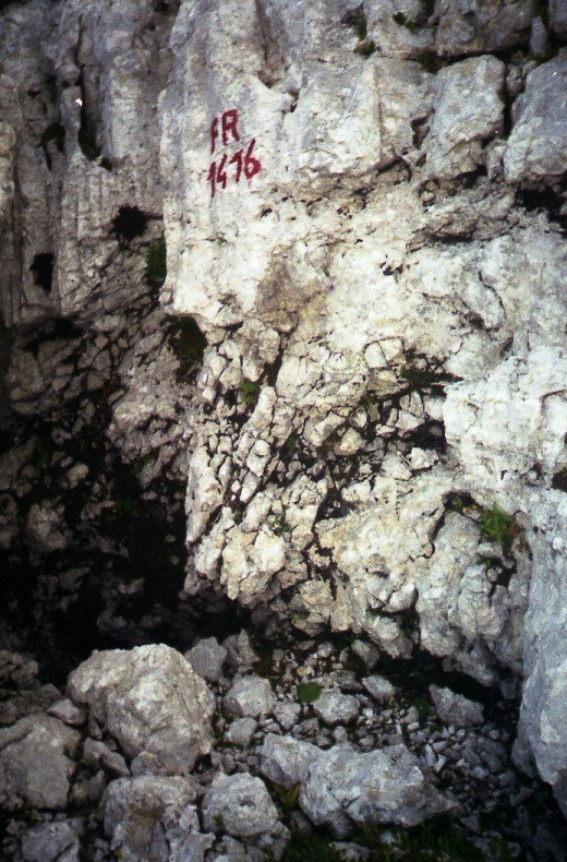 descrizione immagine