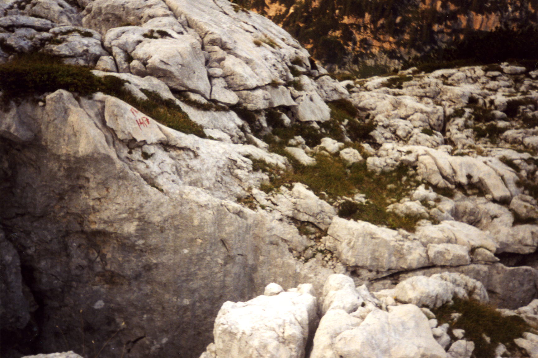 descrizione immagine