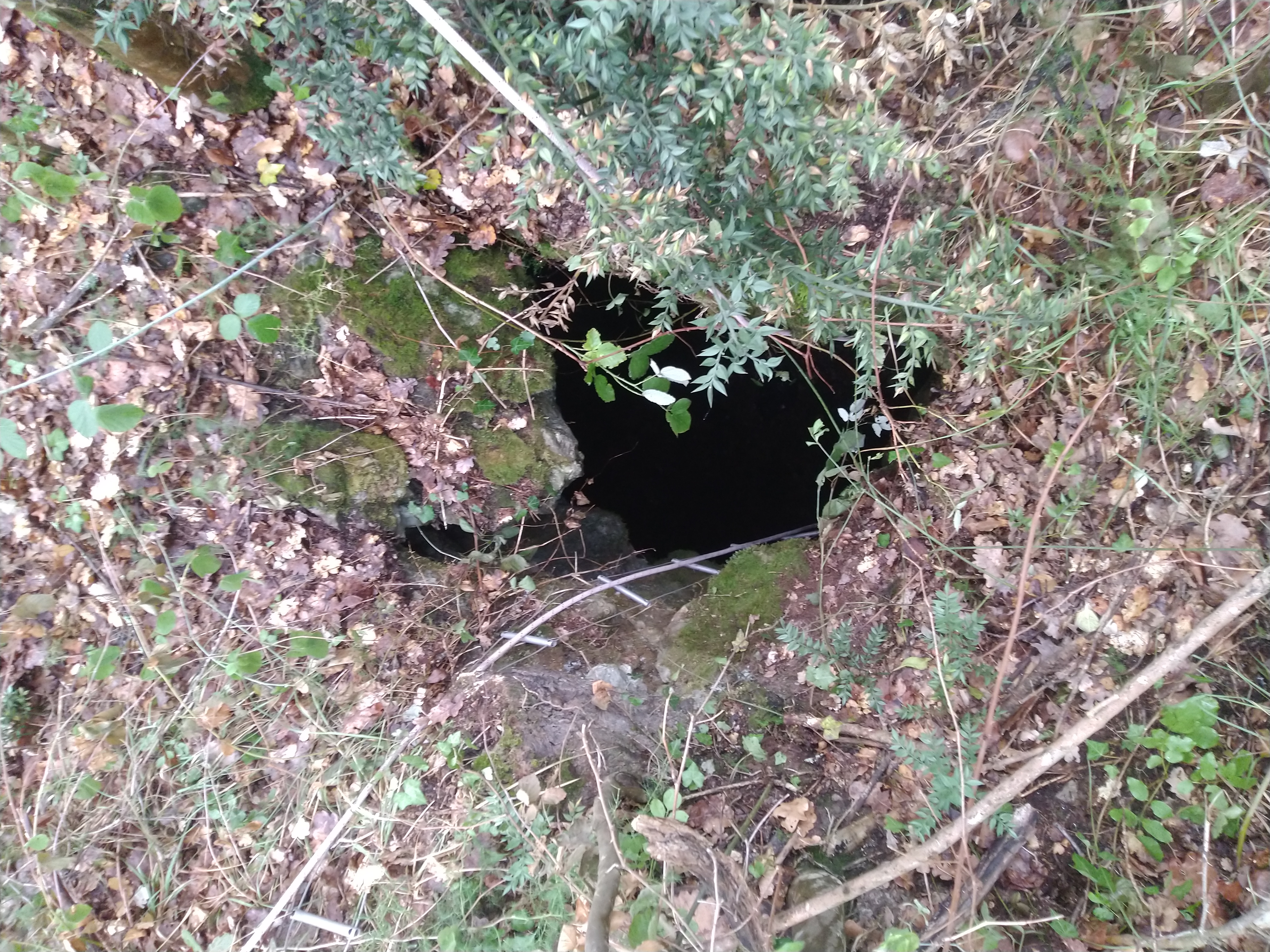 descrizione immagine