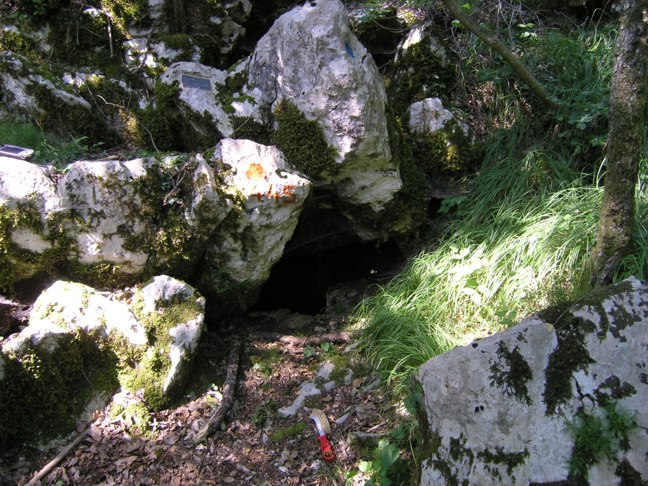 descrizione immagine