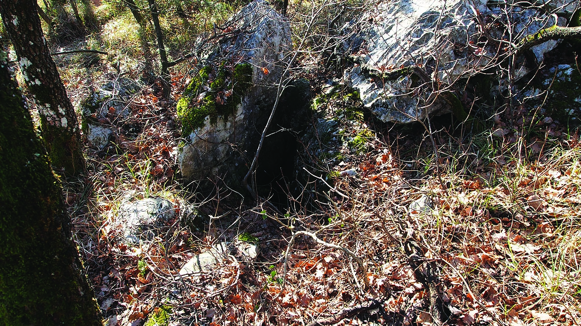 descrizione immagine