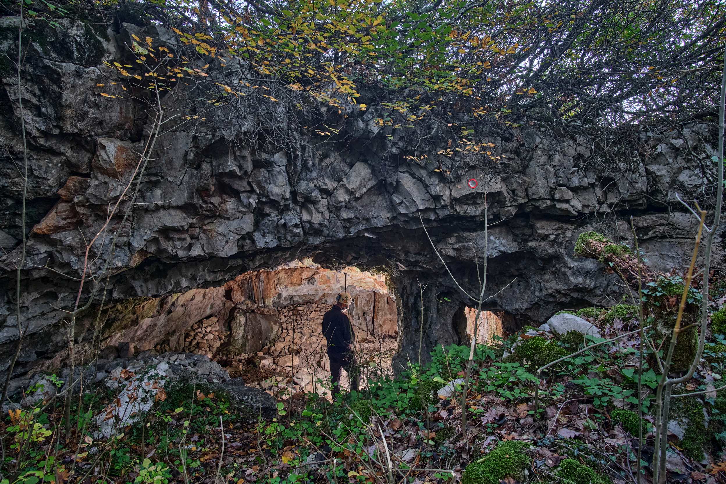 descrizione immagine