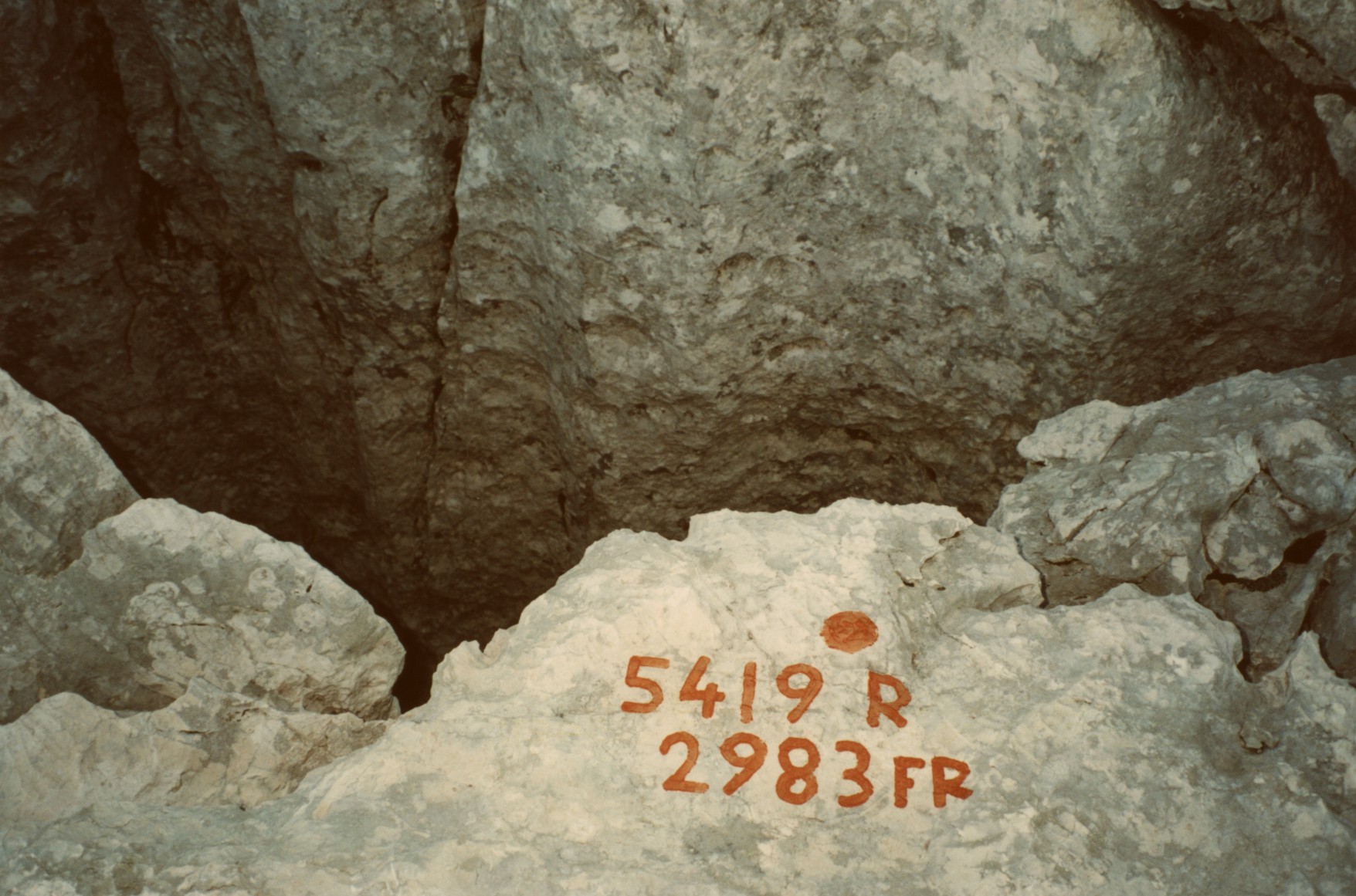 descrizione immagine