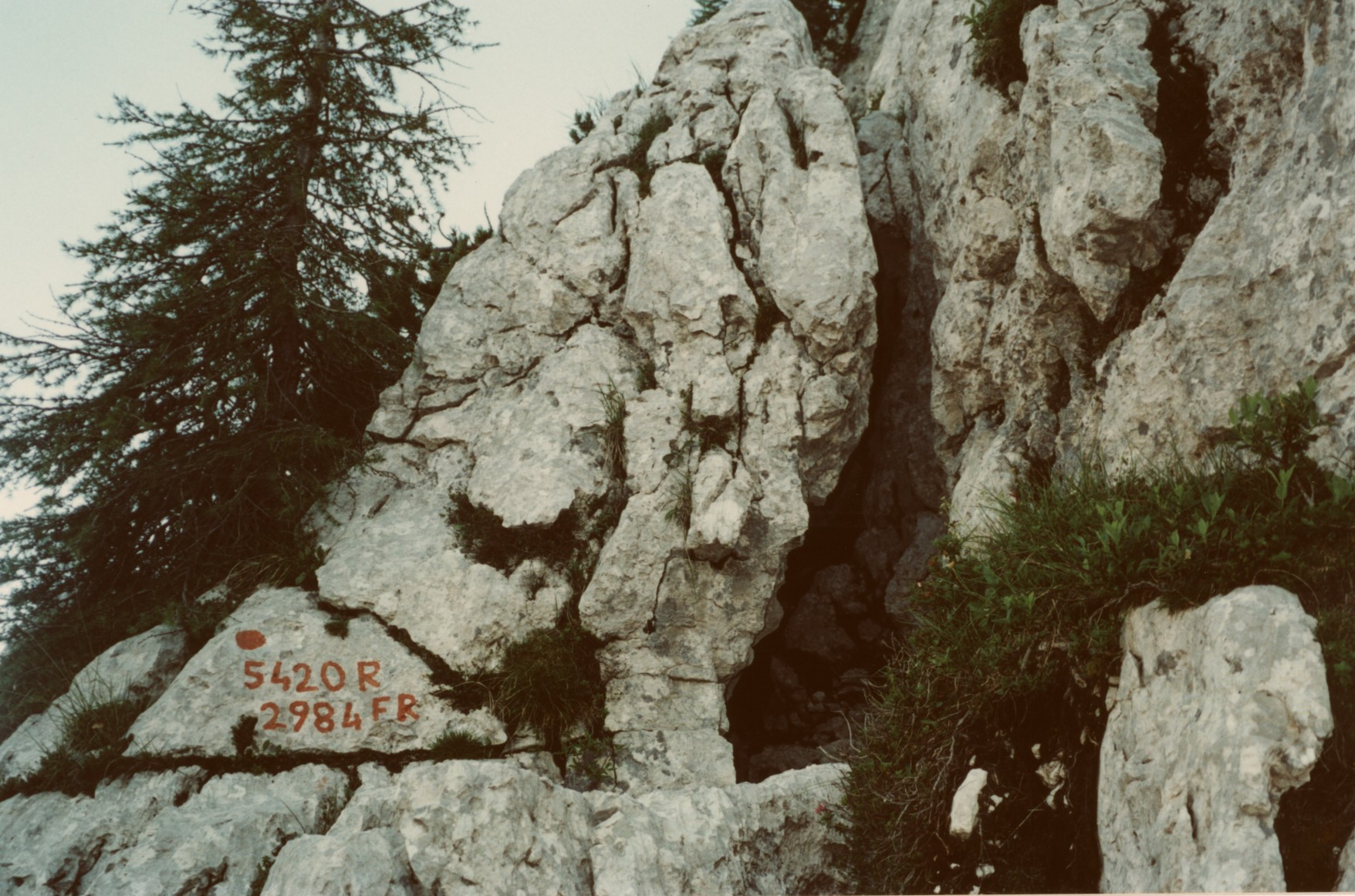 descrizione immagine