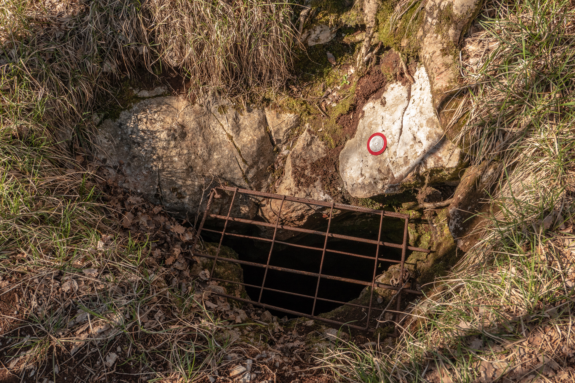 descrizione immagine