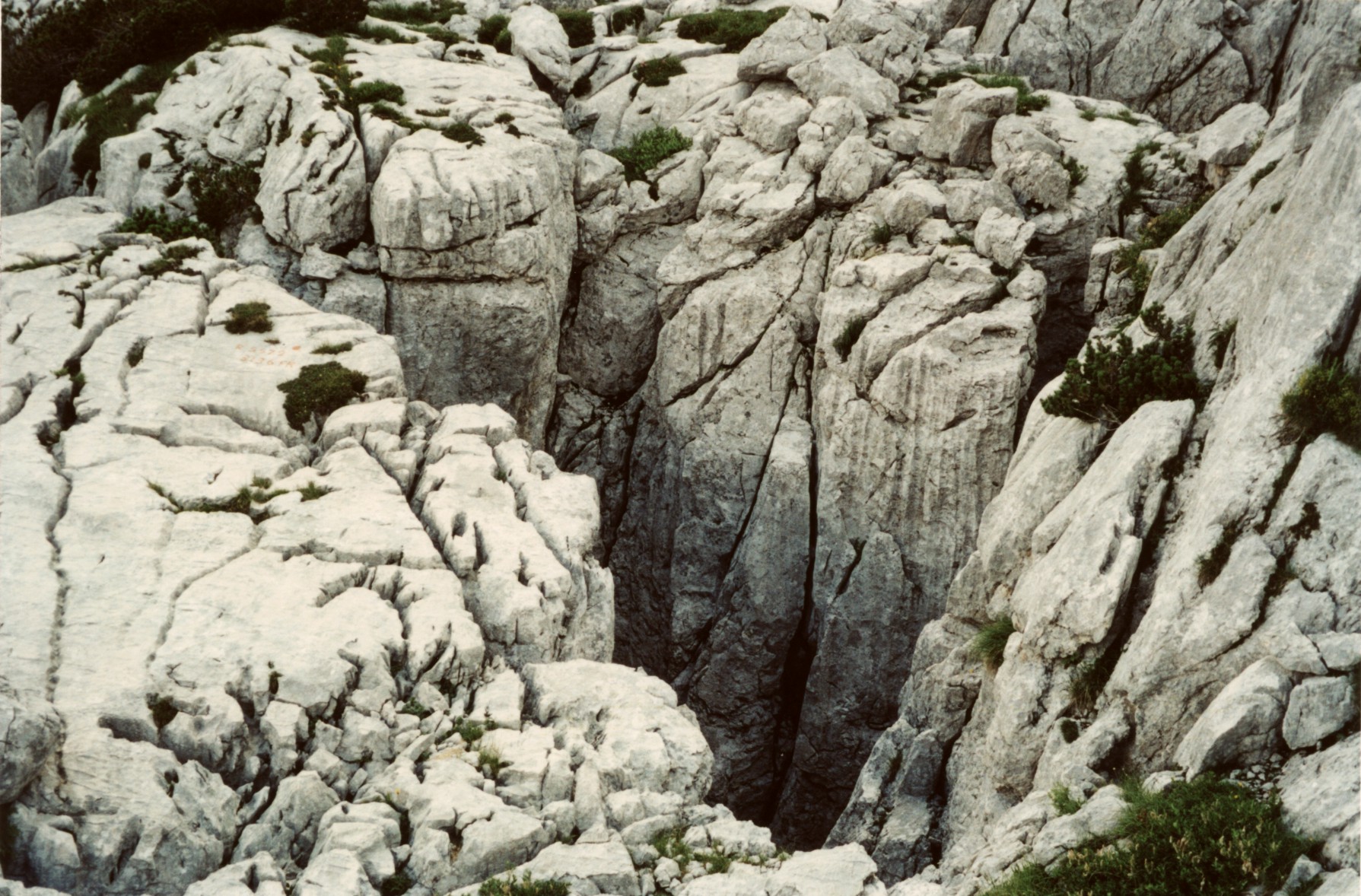 descrizione immagine