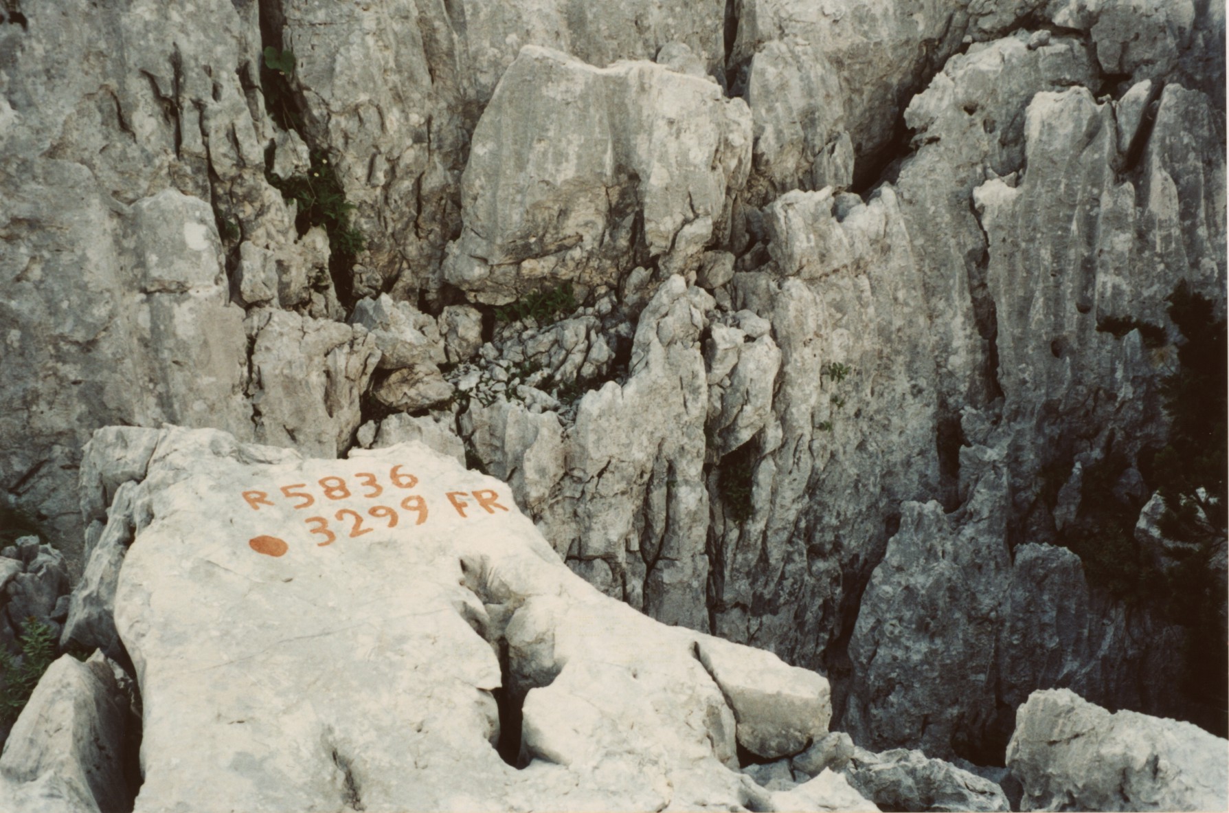 descrizione immagine