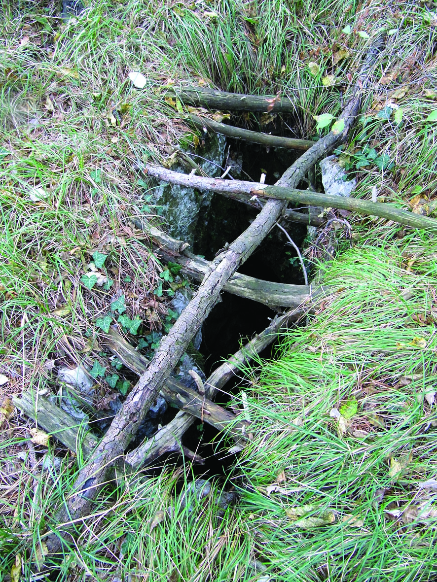 descrizione immagine