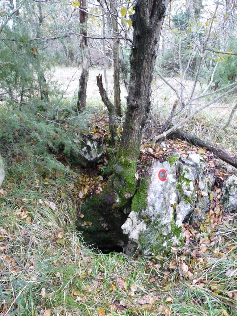 descrizione immagine