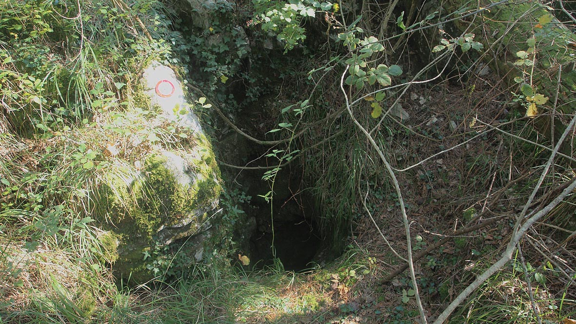 descrizione immagine