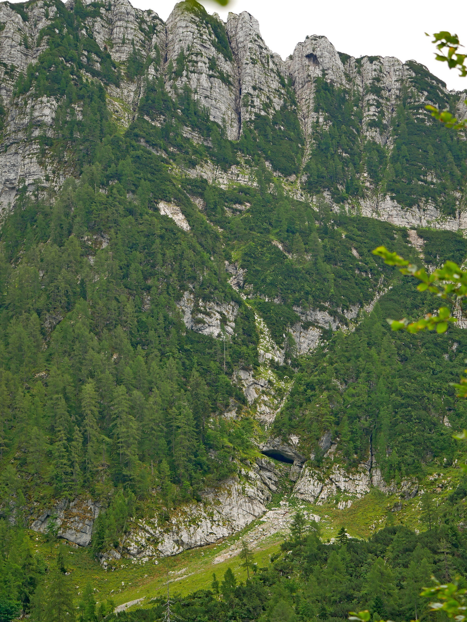 descrizione immagine