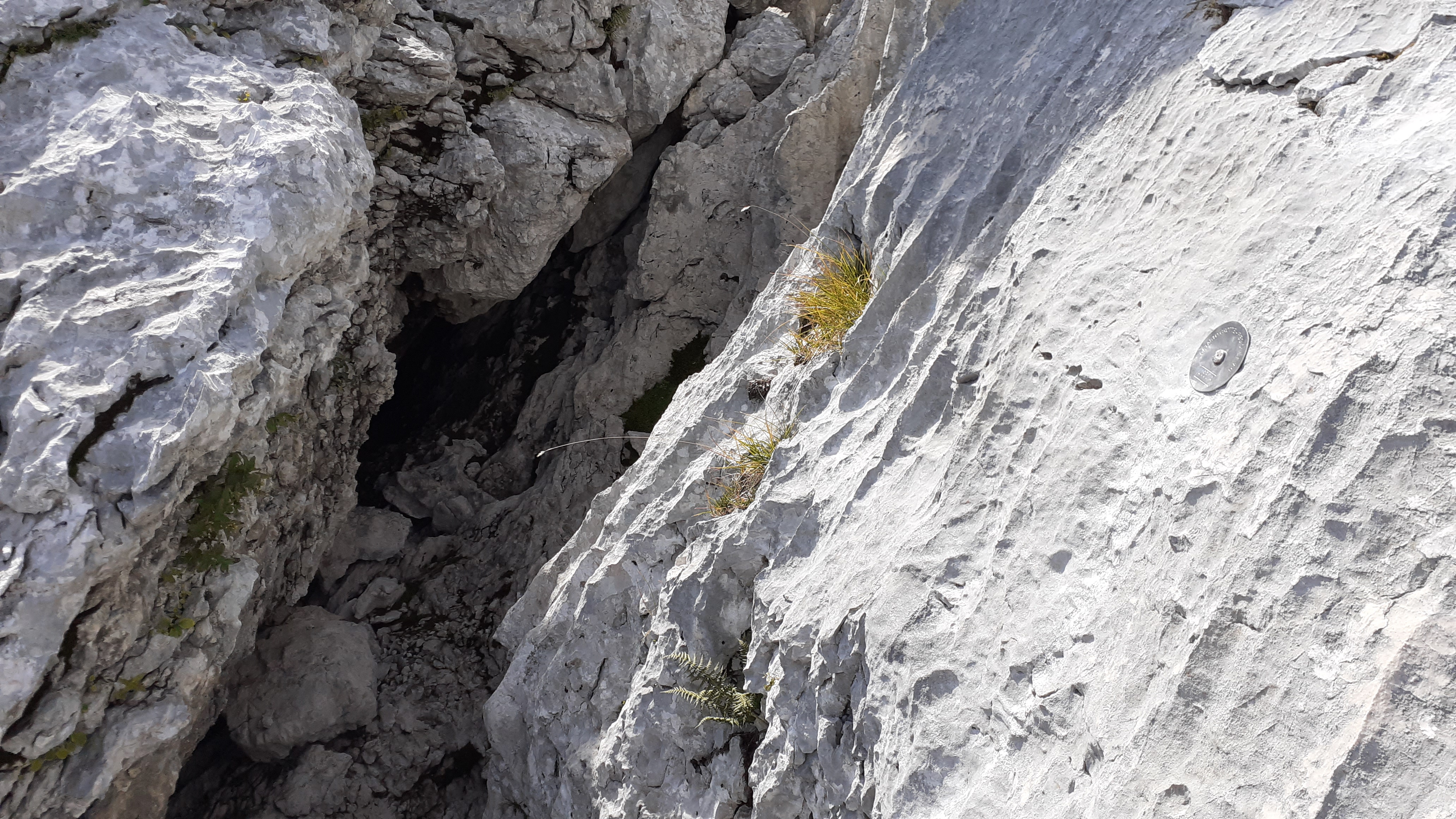 descrizione immagine