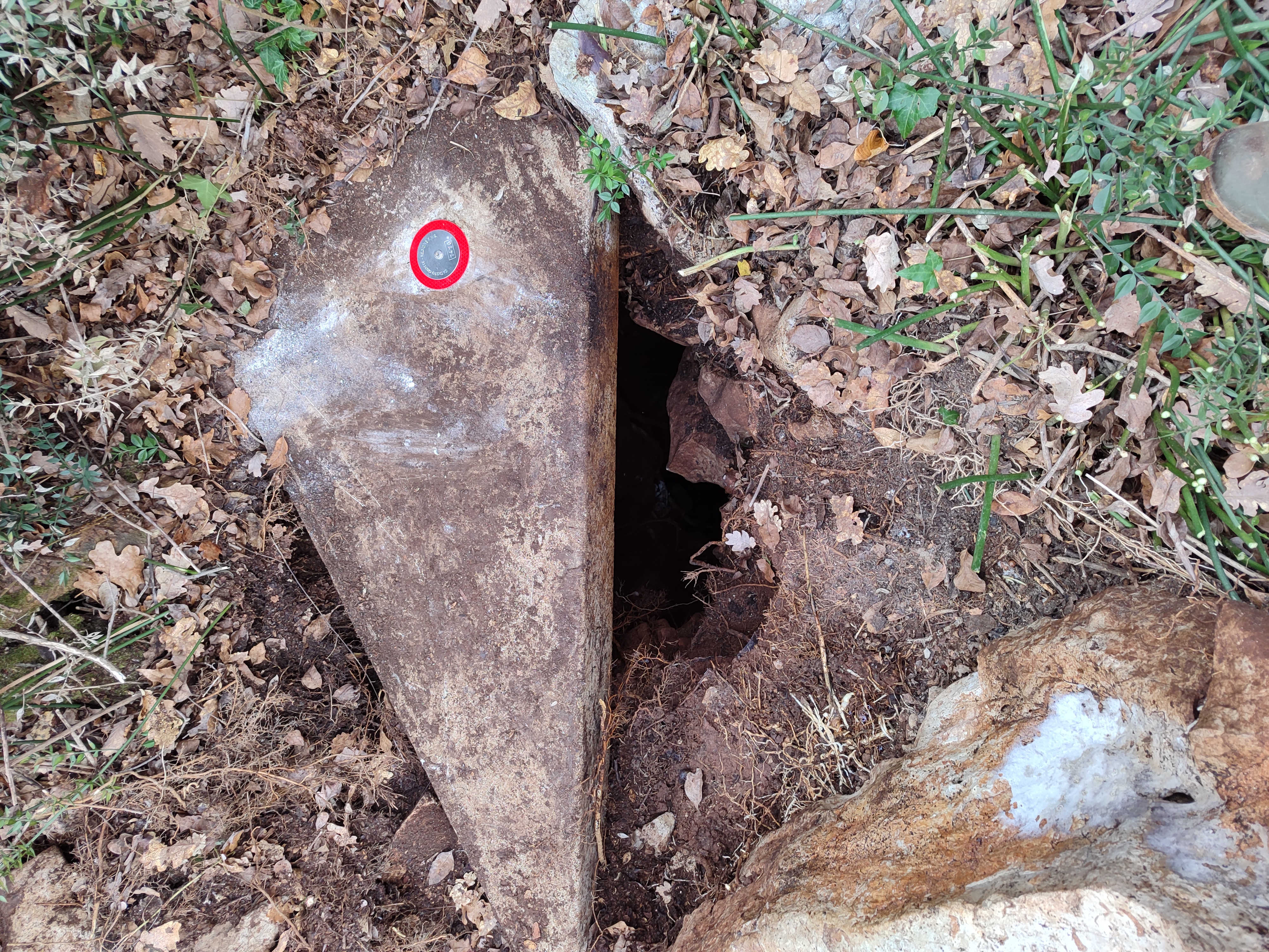 descrizione immagine