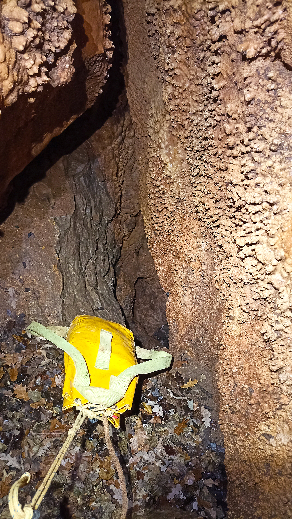 descrizione immagine