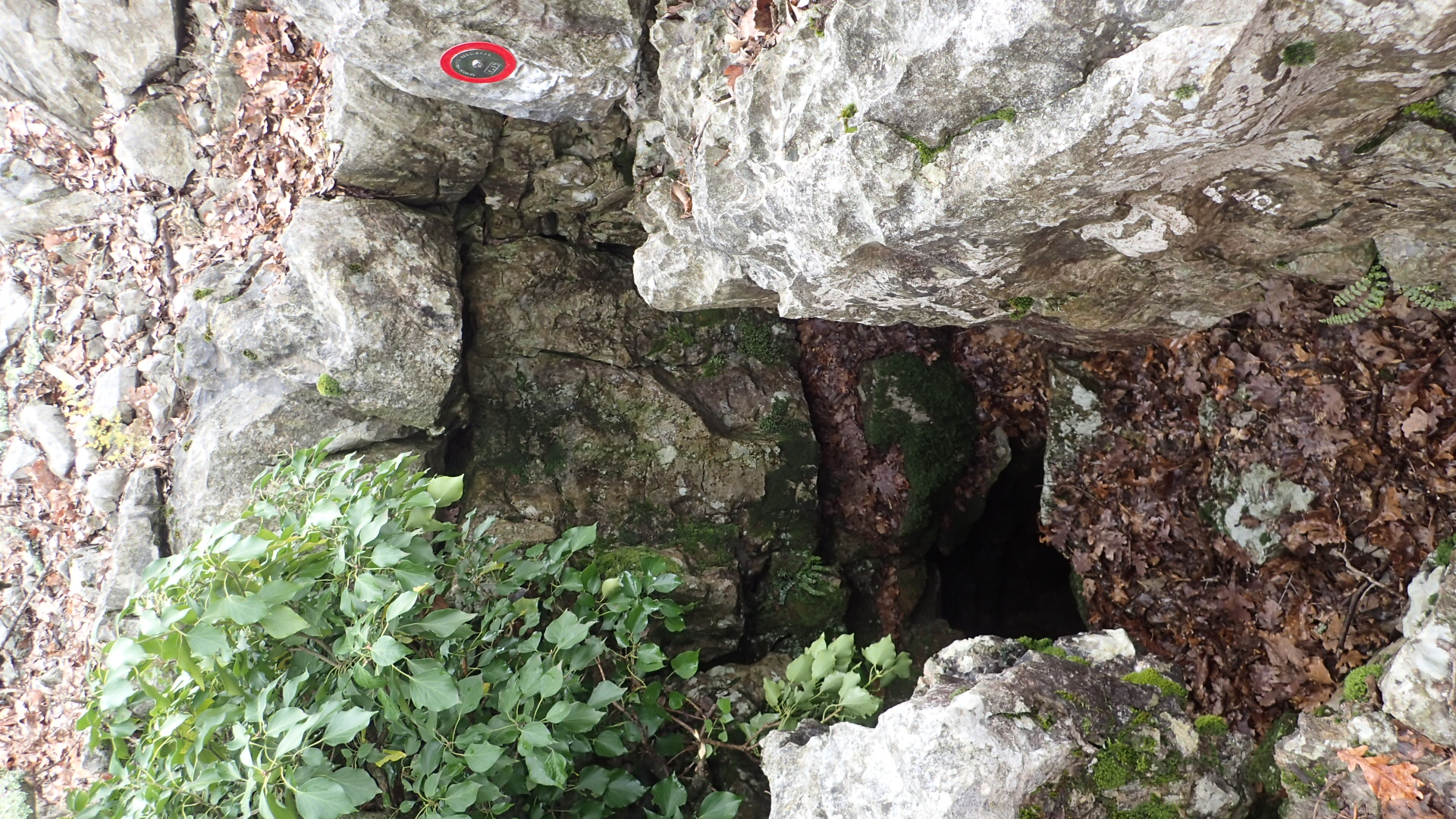 descrizione immagine