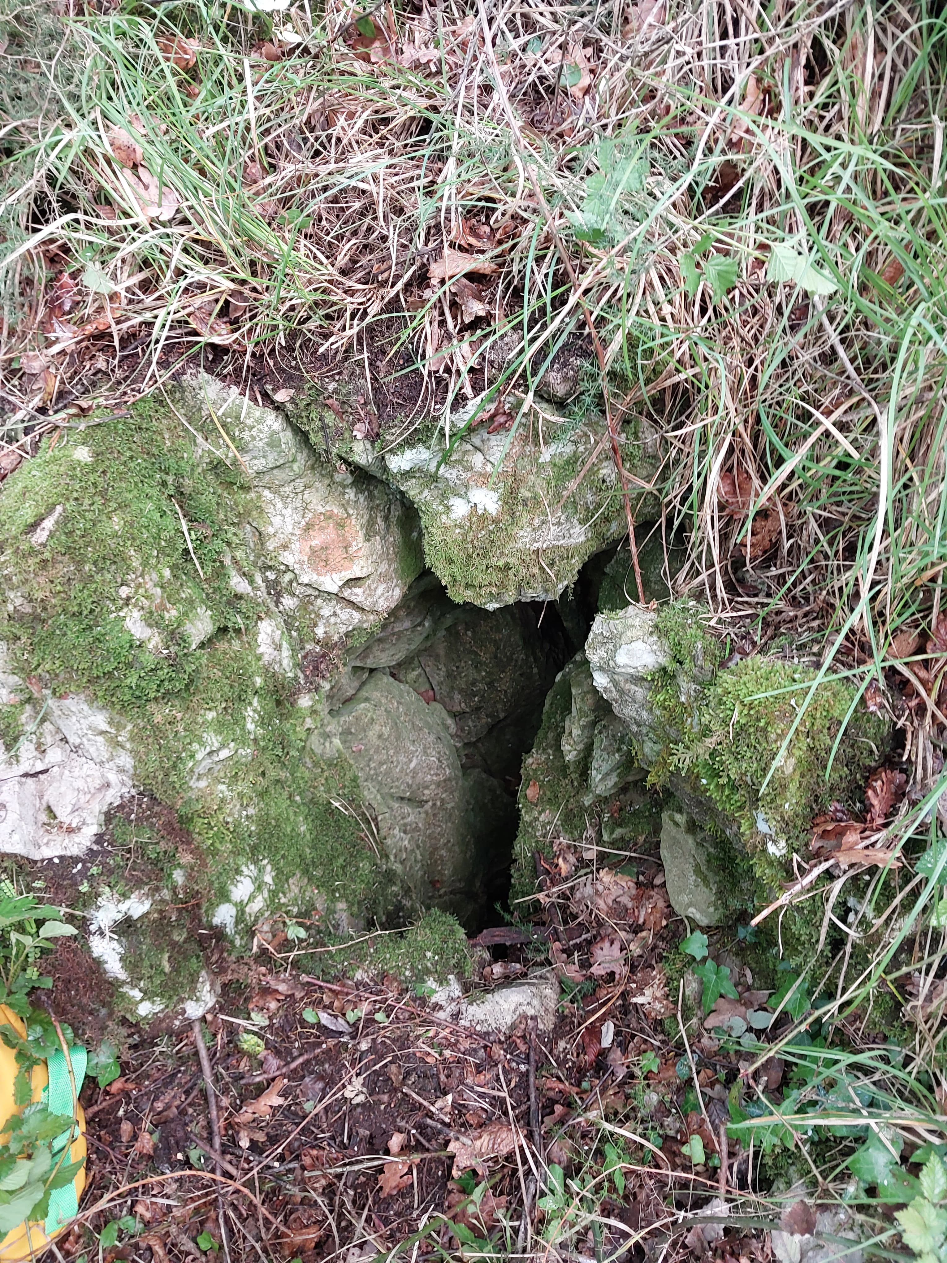 descrizione immagine