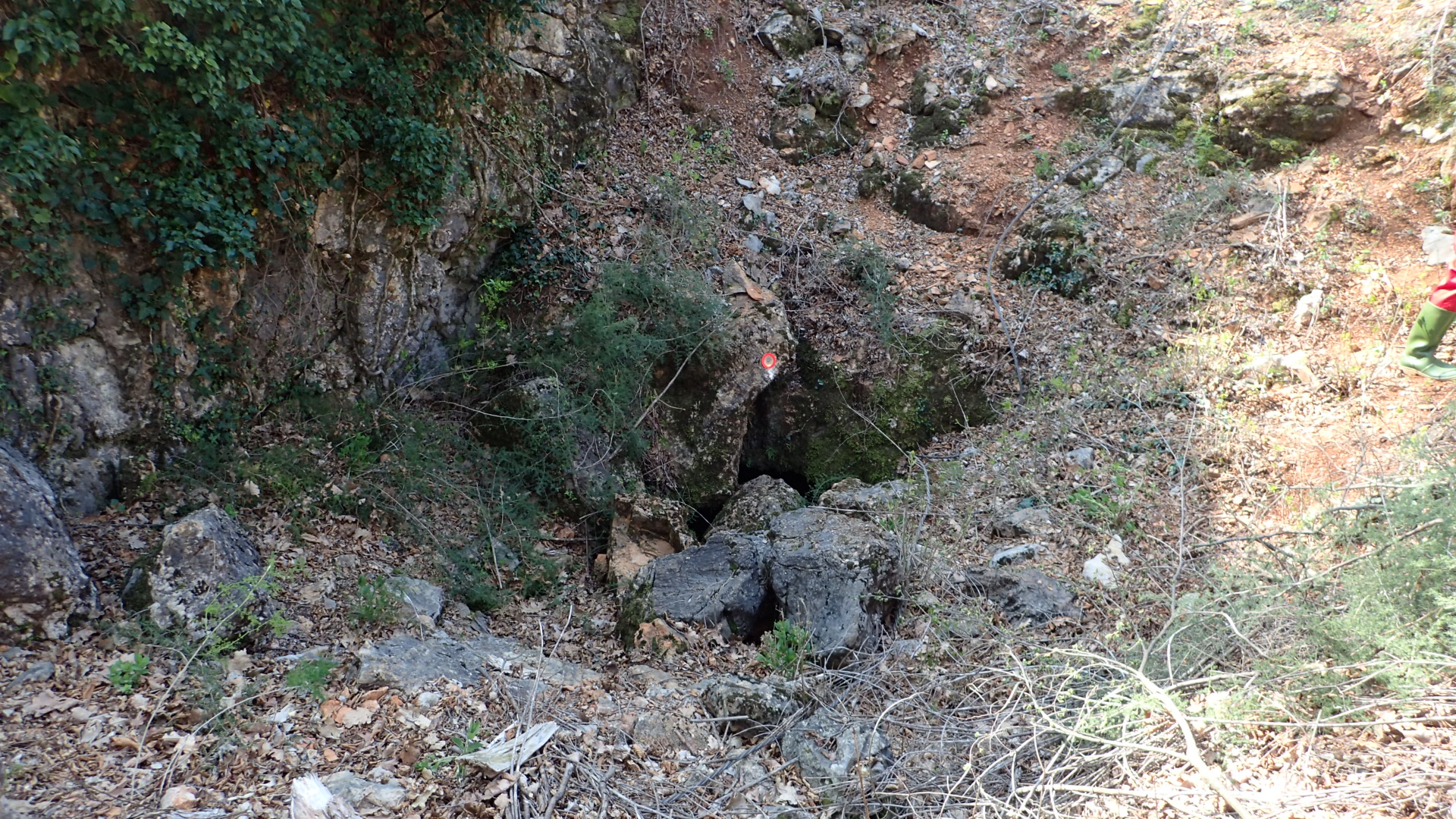 descrizione immagine