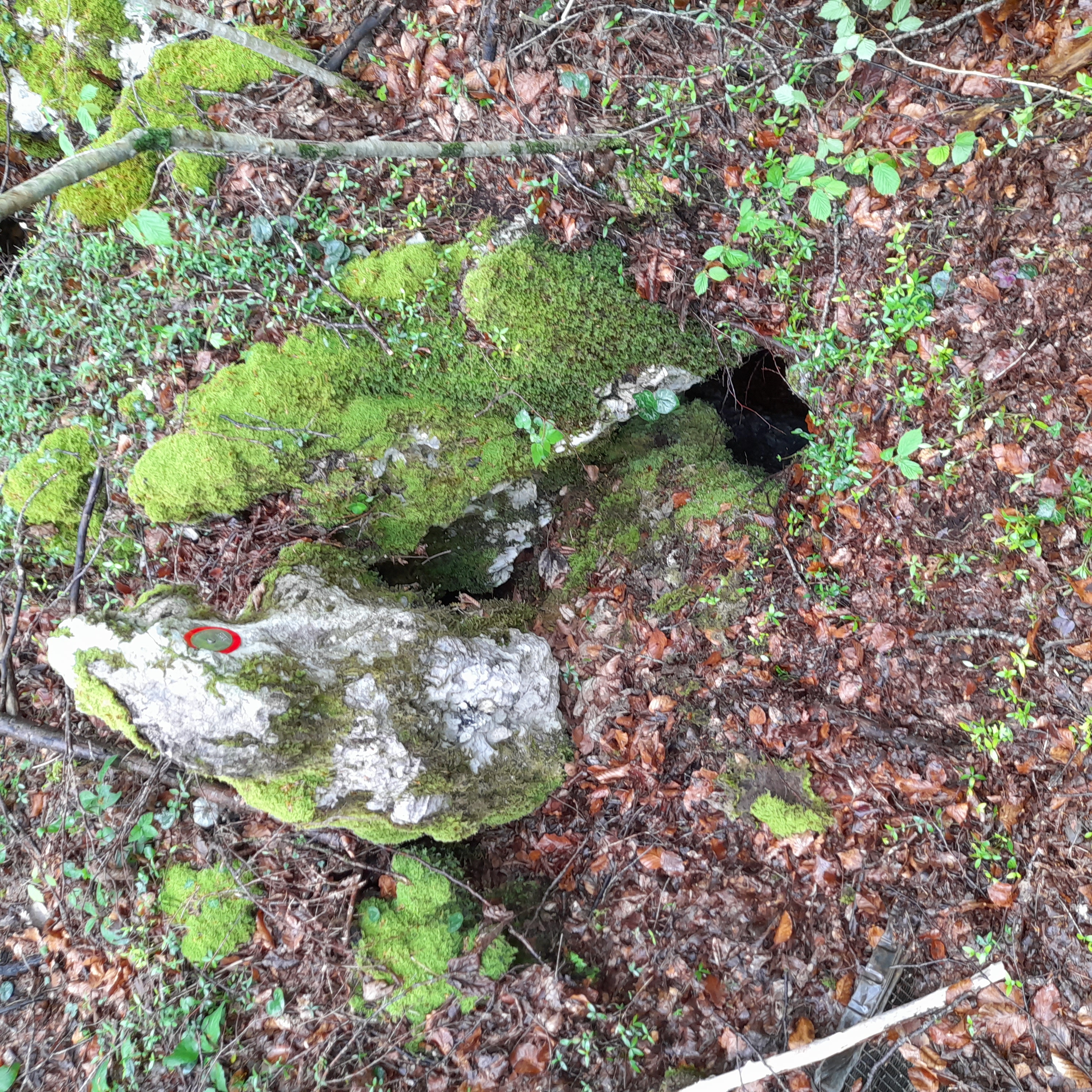 descrizione immagine