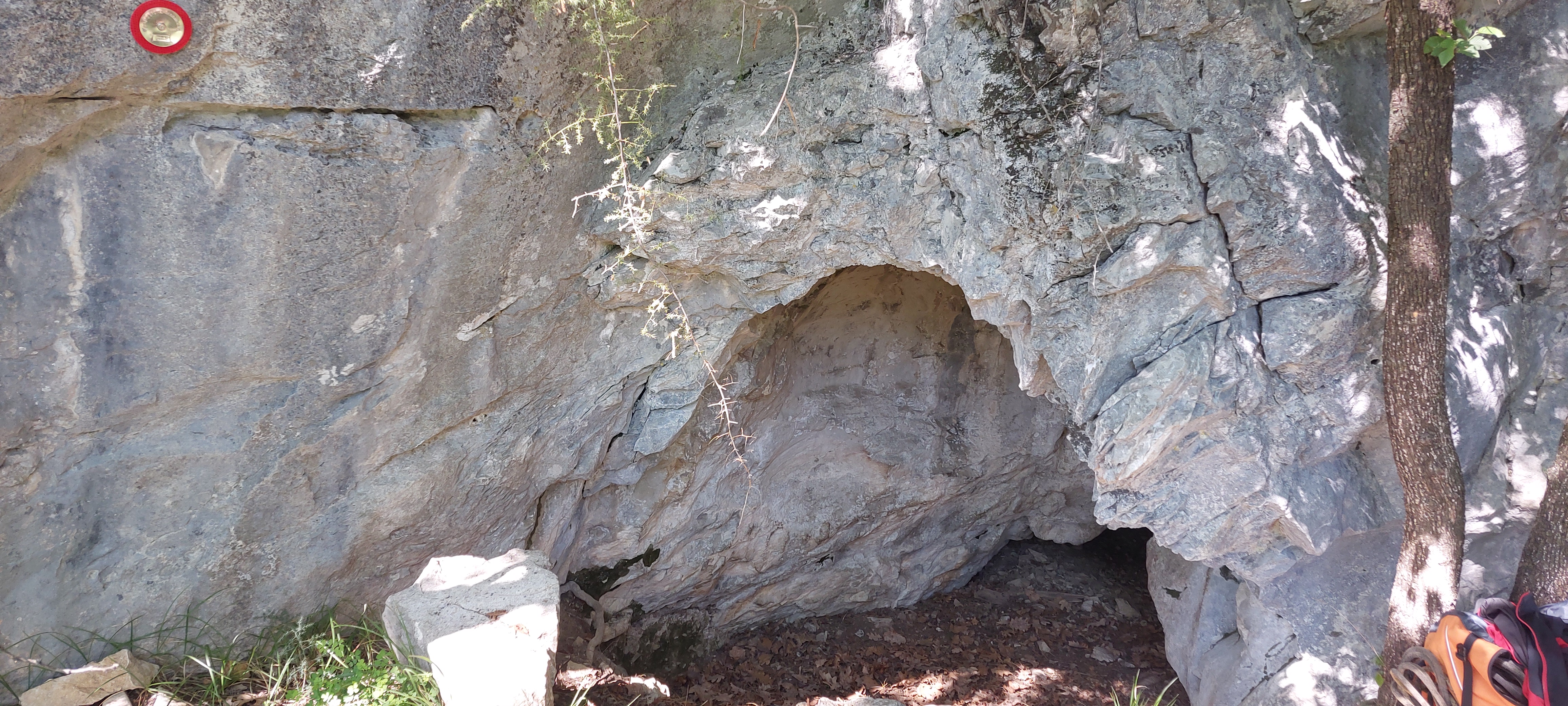 descrizione immagine