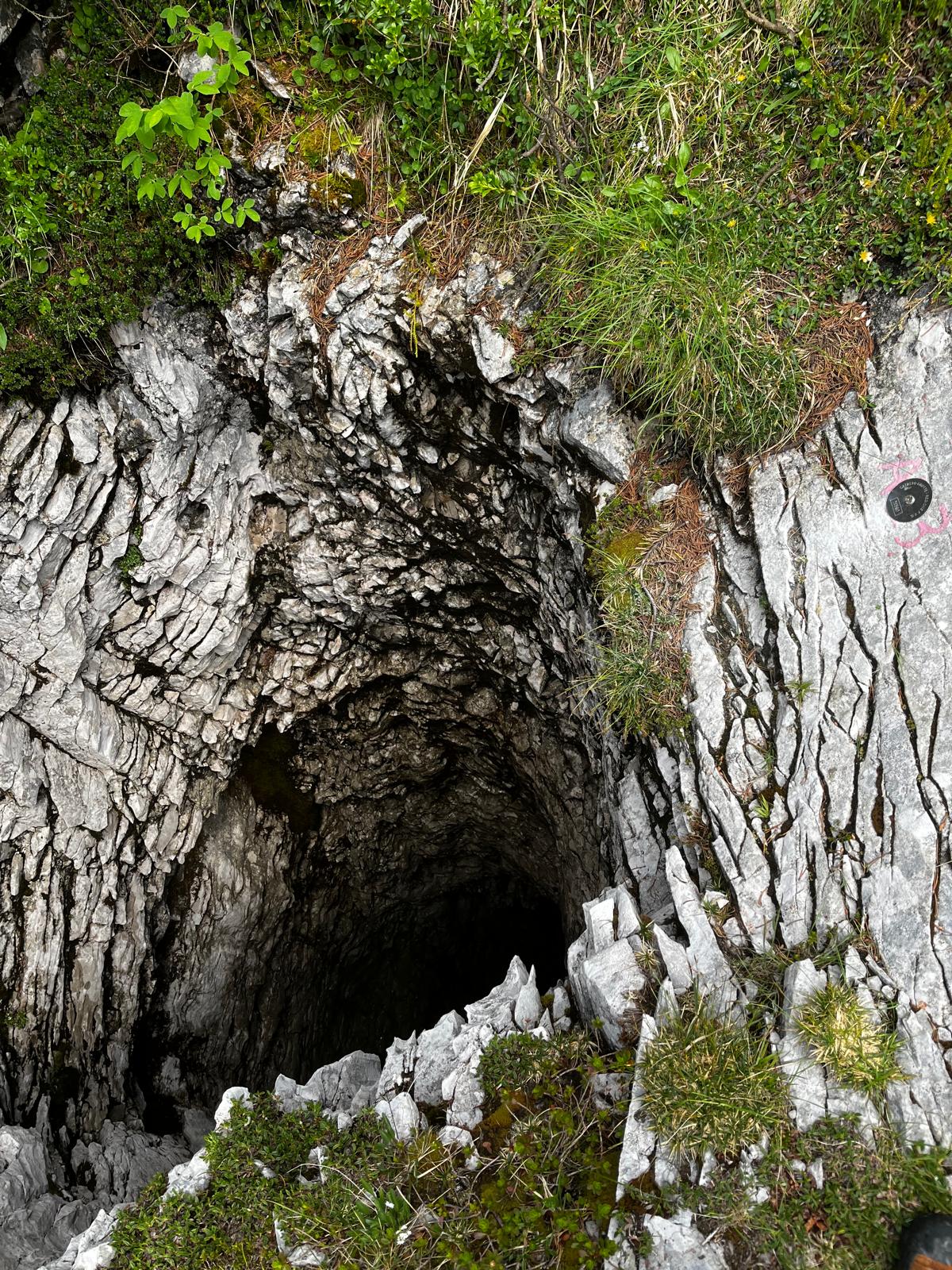 descrizione immagine