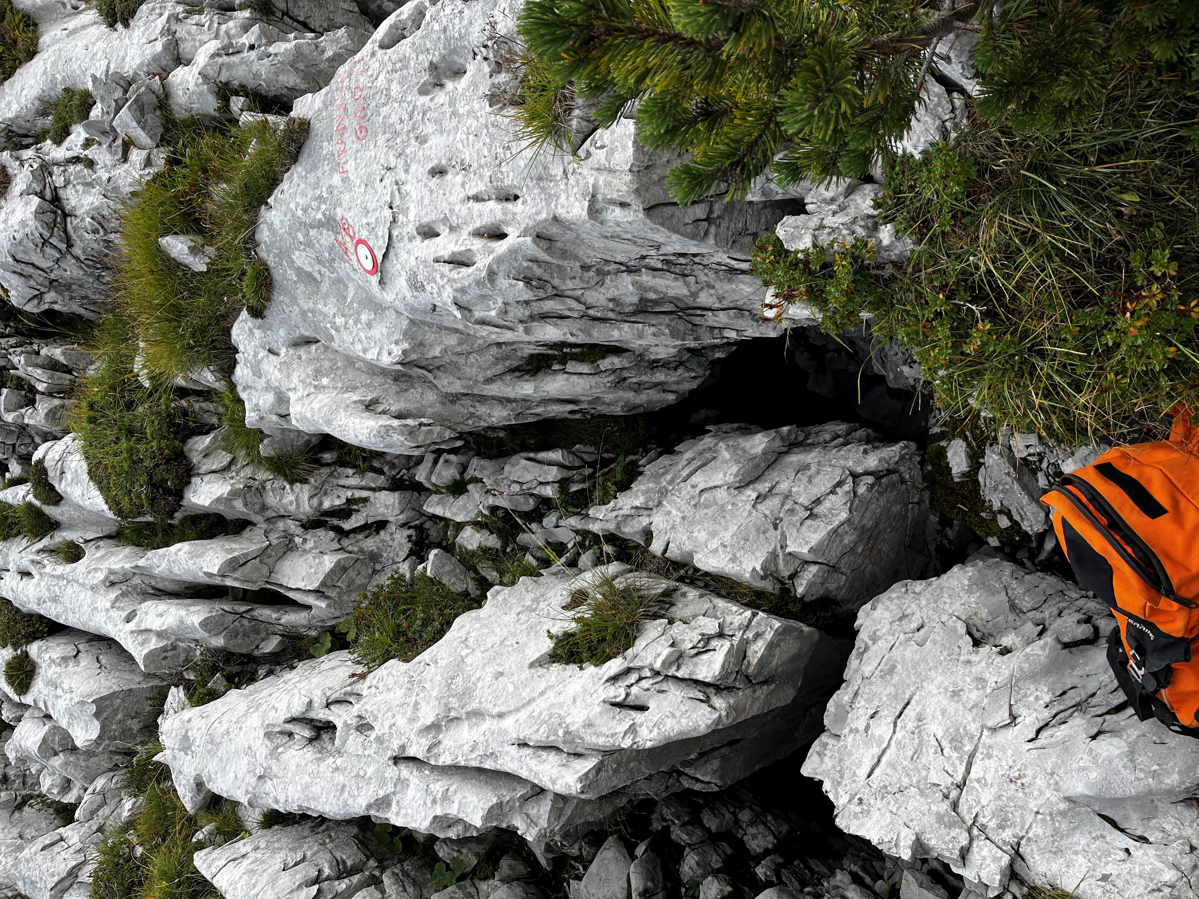 descrizione immagine