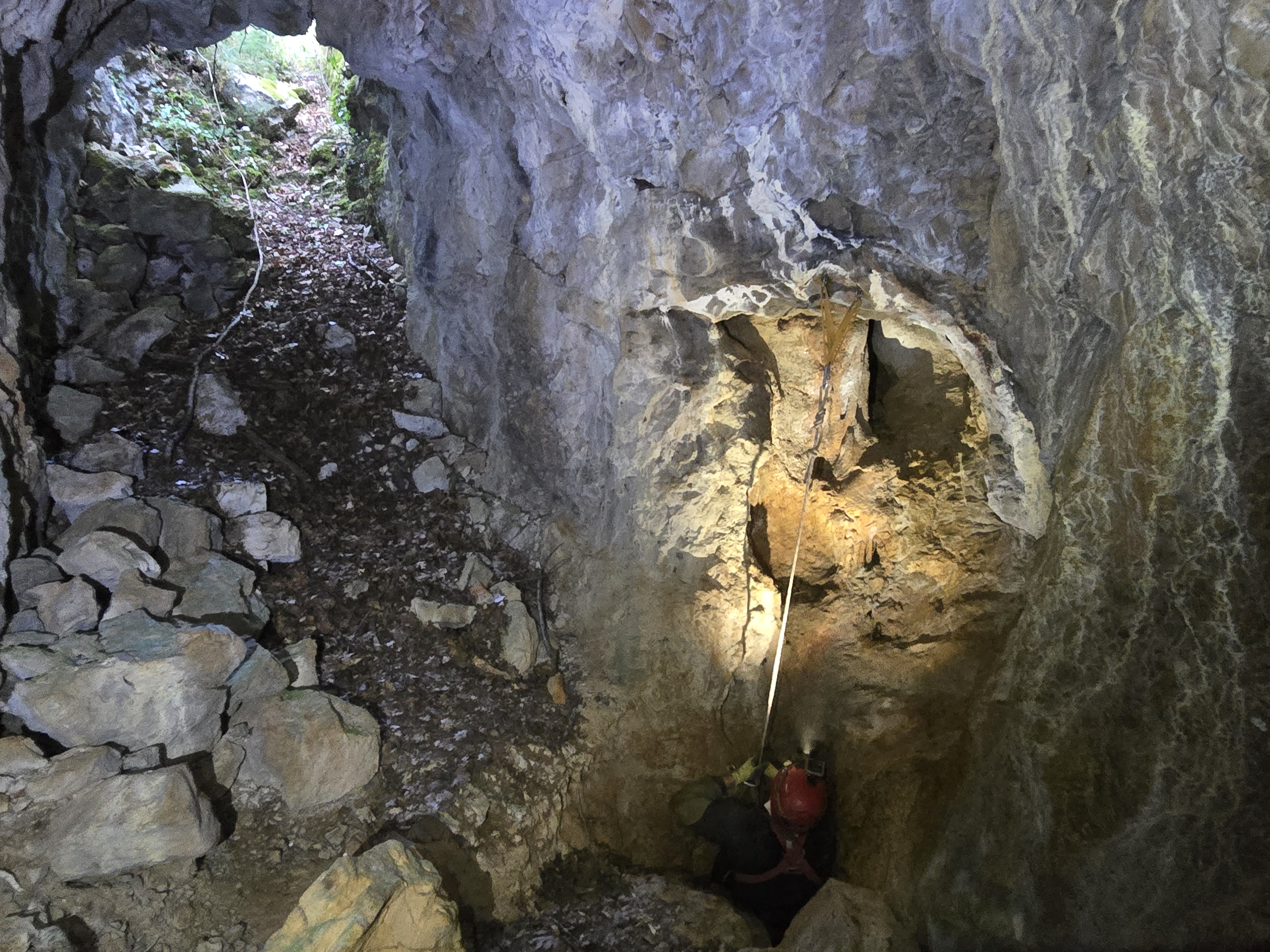 descrizione immagine