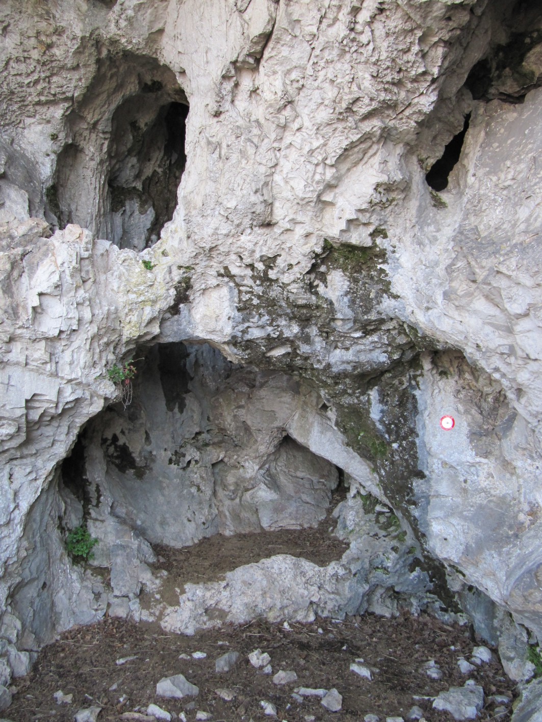 descrizione immagine