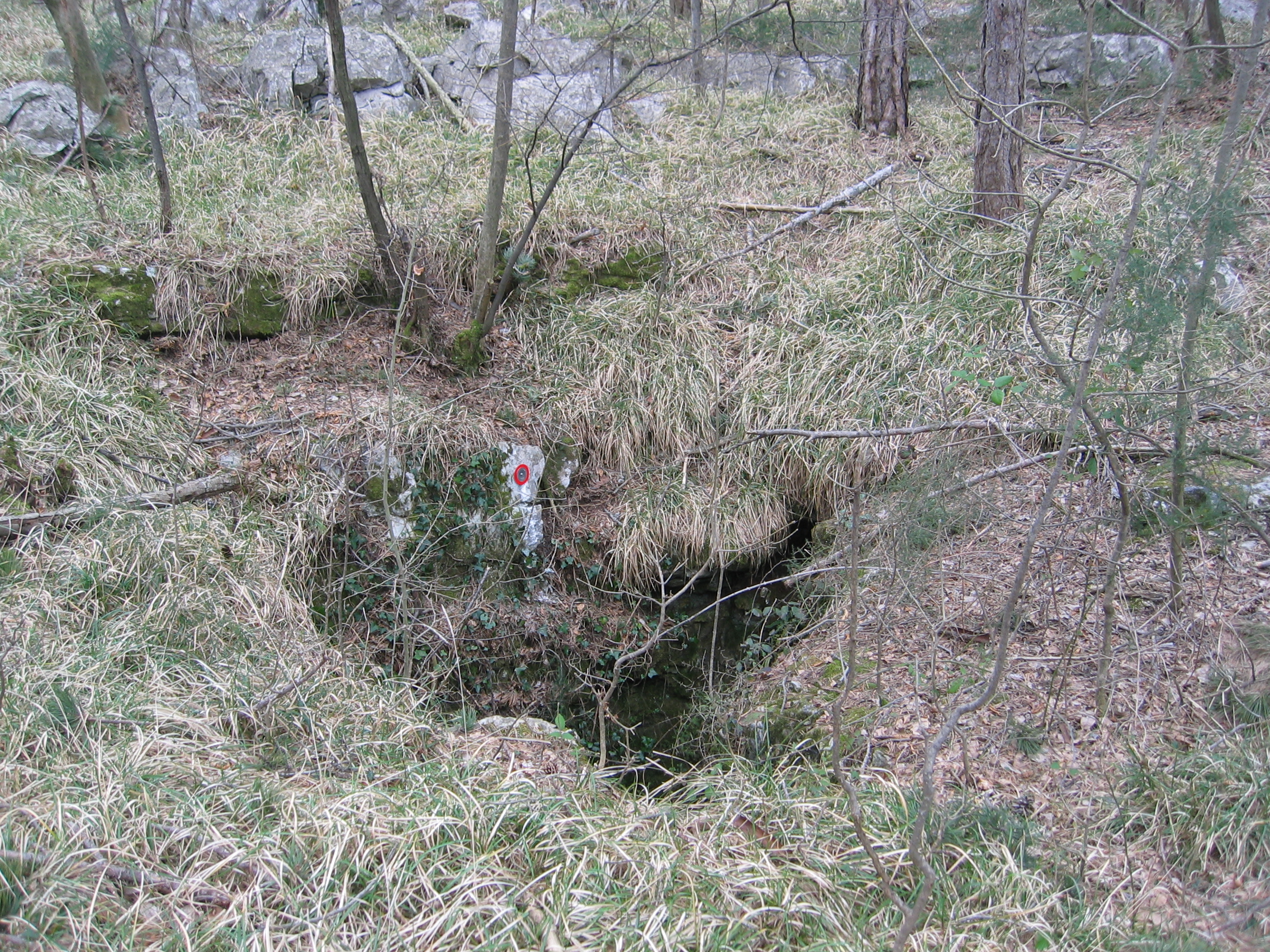 descrizione immagine