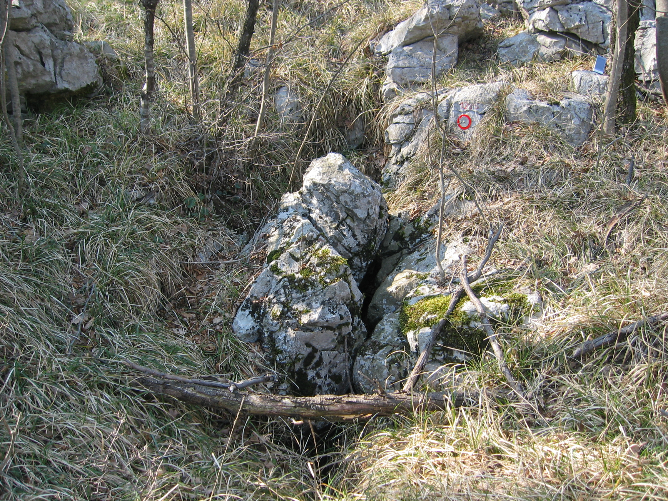 descrizione immagine