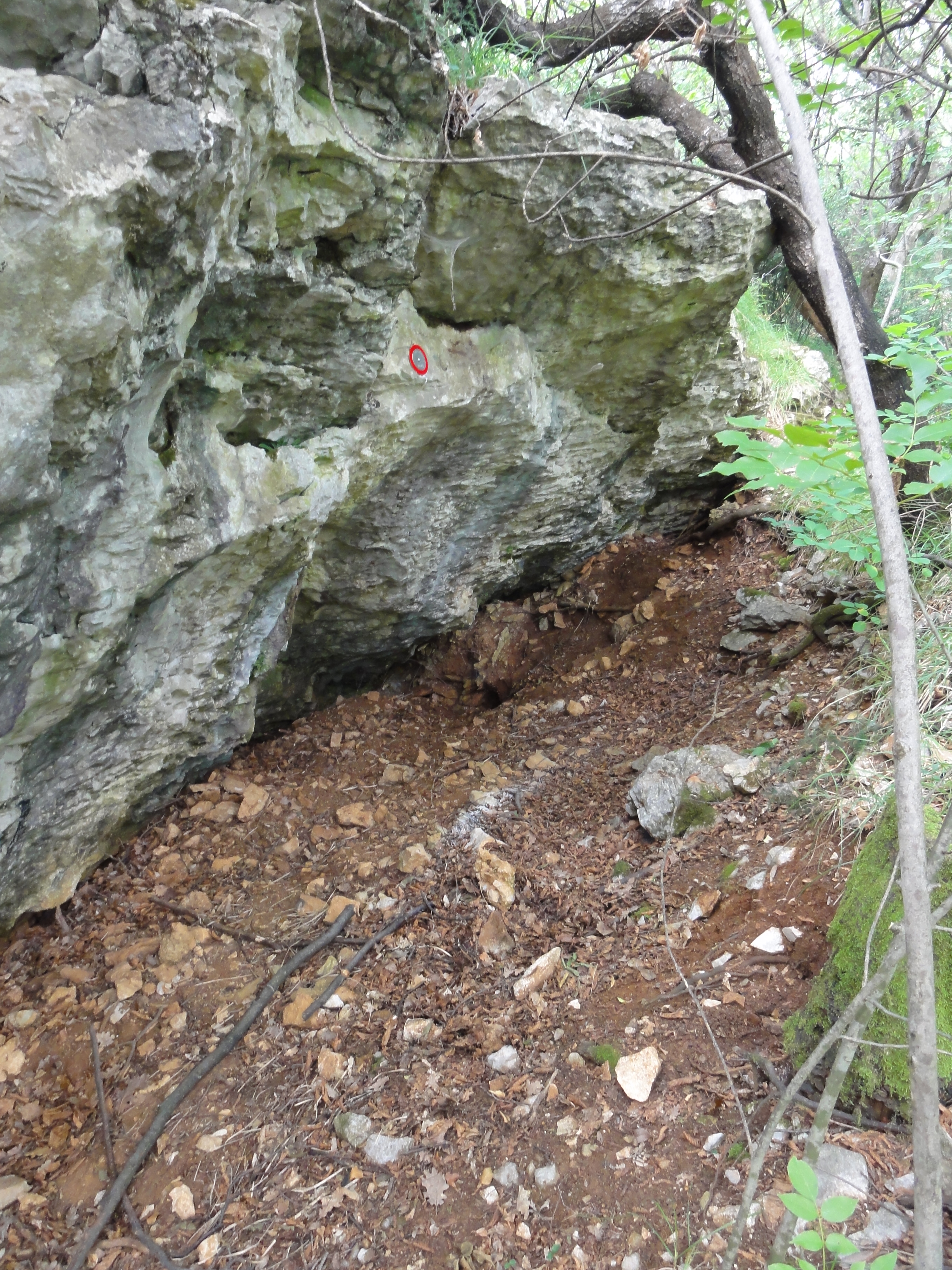 descrizione immagine