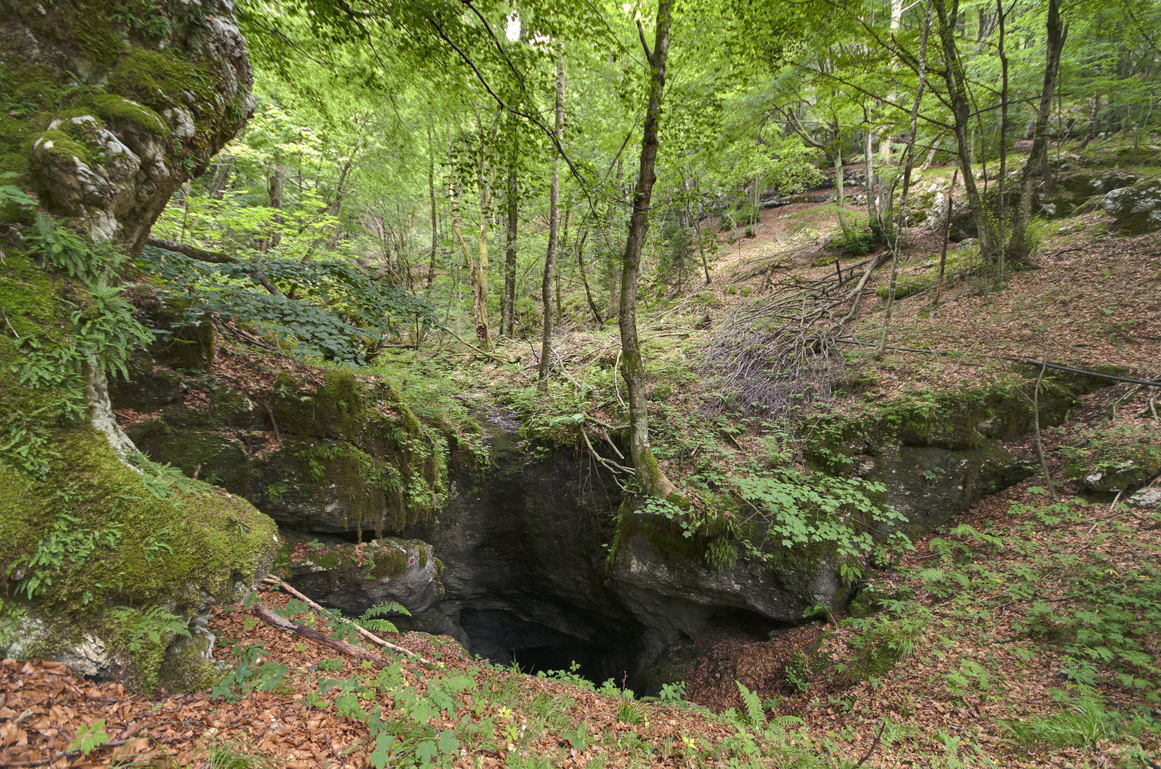 descrizione immagine