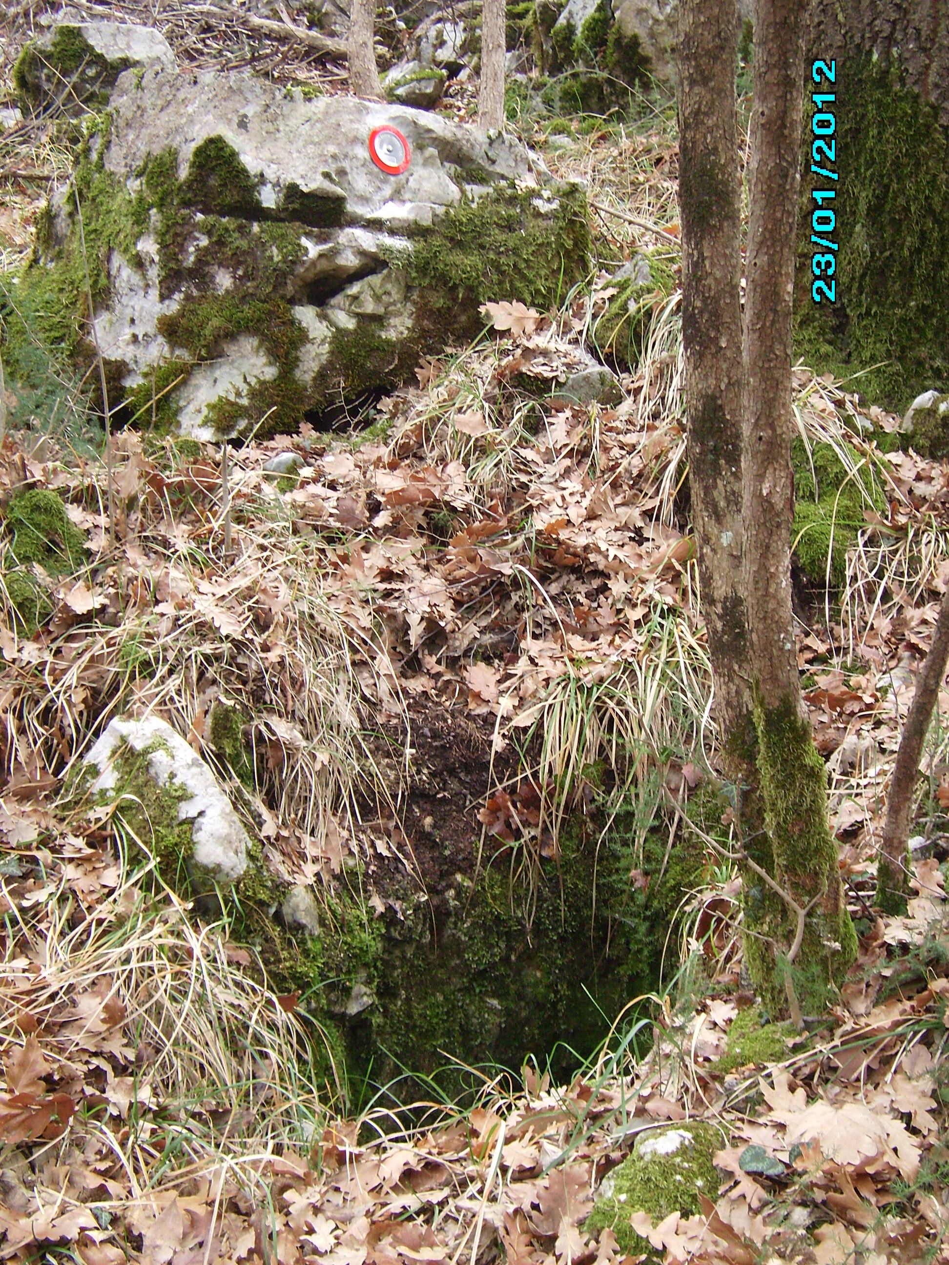 descrizione immagine