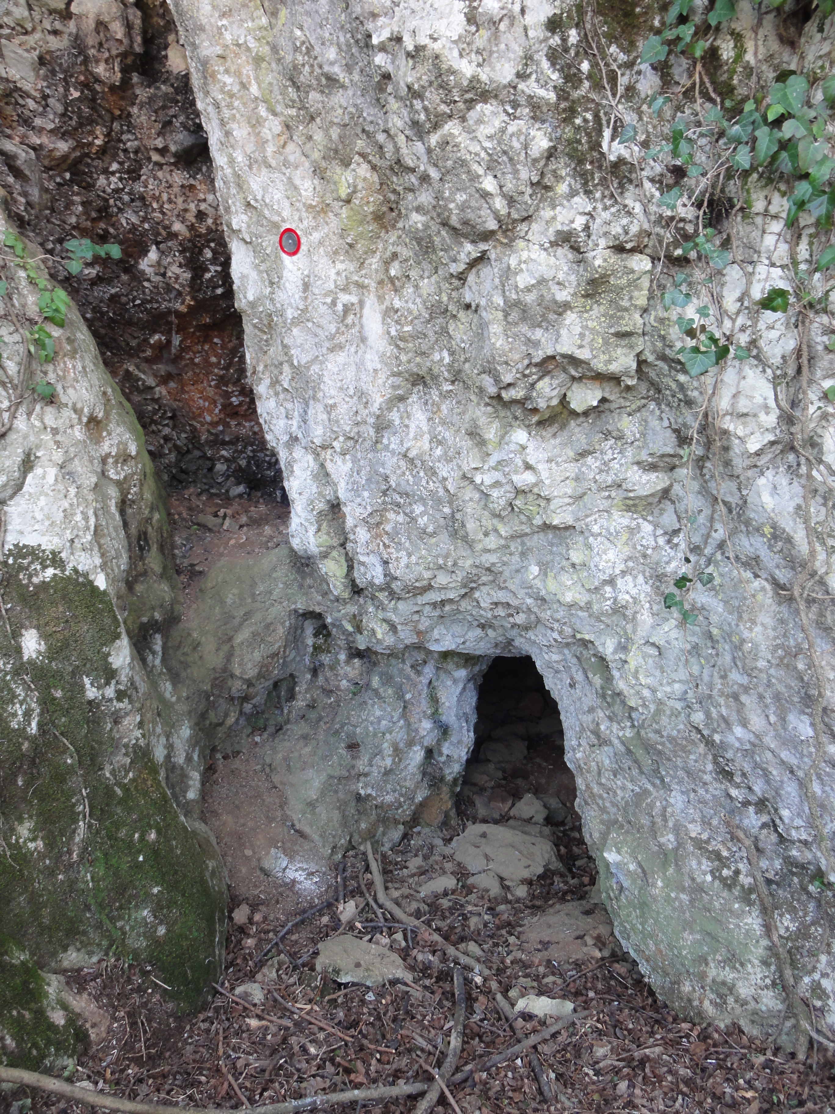 descrizione immagine